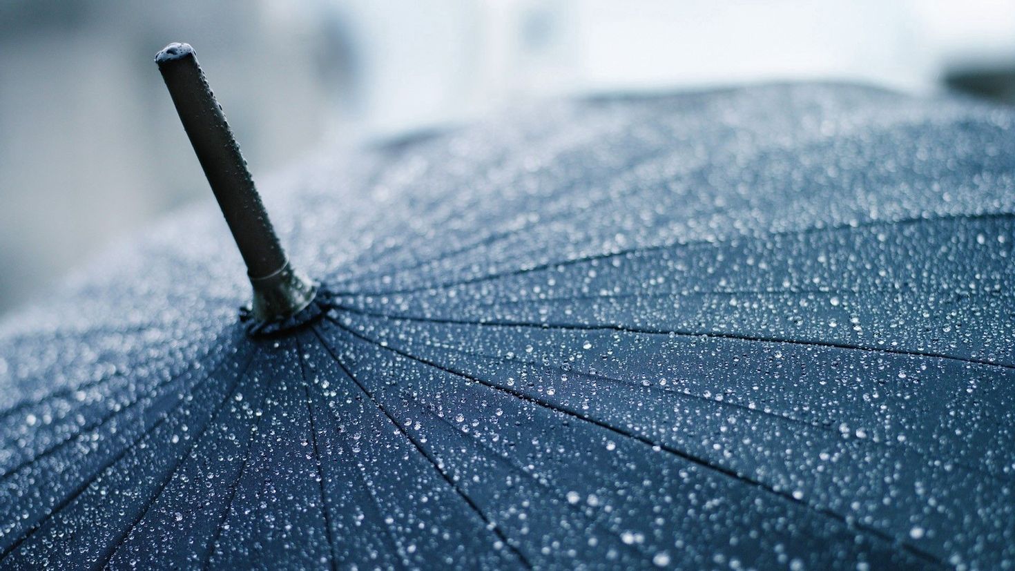 Rain live wallpaper. Зонтик. Обои дождь. Дождь картинки. Обои зонтики.