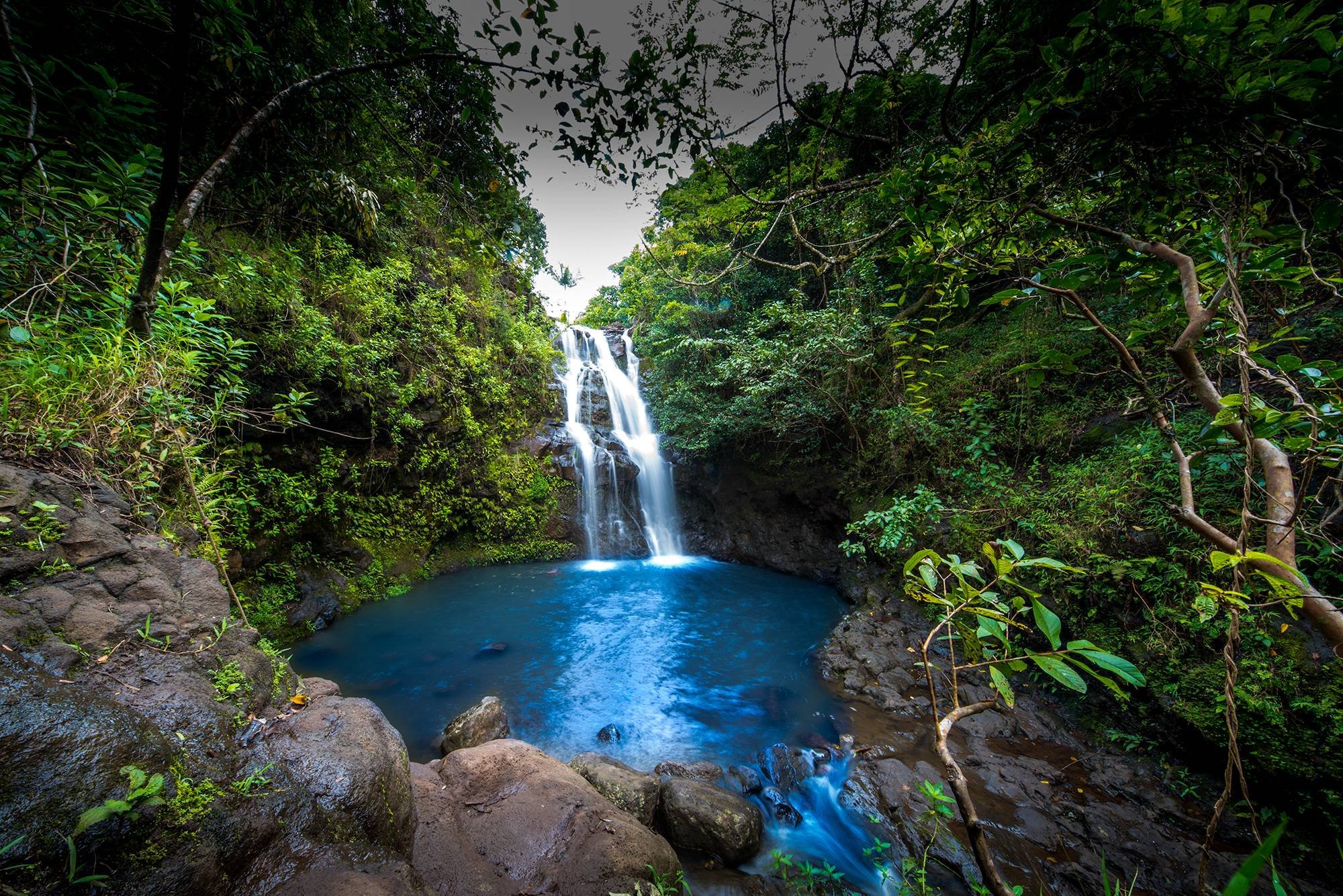 379918 baixar papel de parede terra/natureza, cachoeira, floresta, havaí, árvore, cataratas de waimano, cachoeiras - protetores de tela e imagens gratuitamente