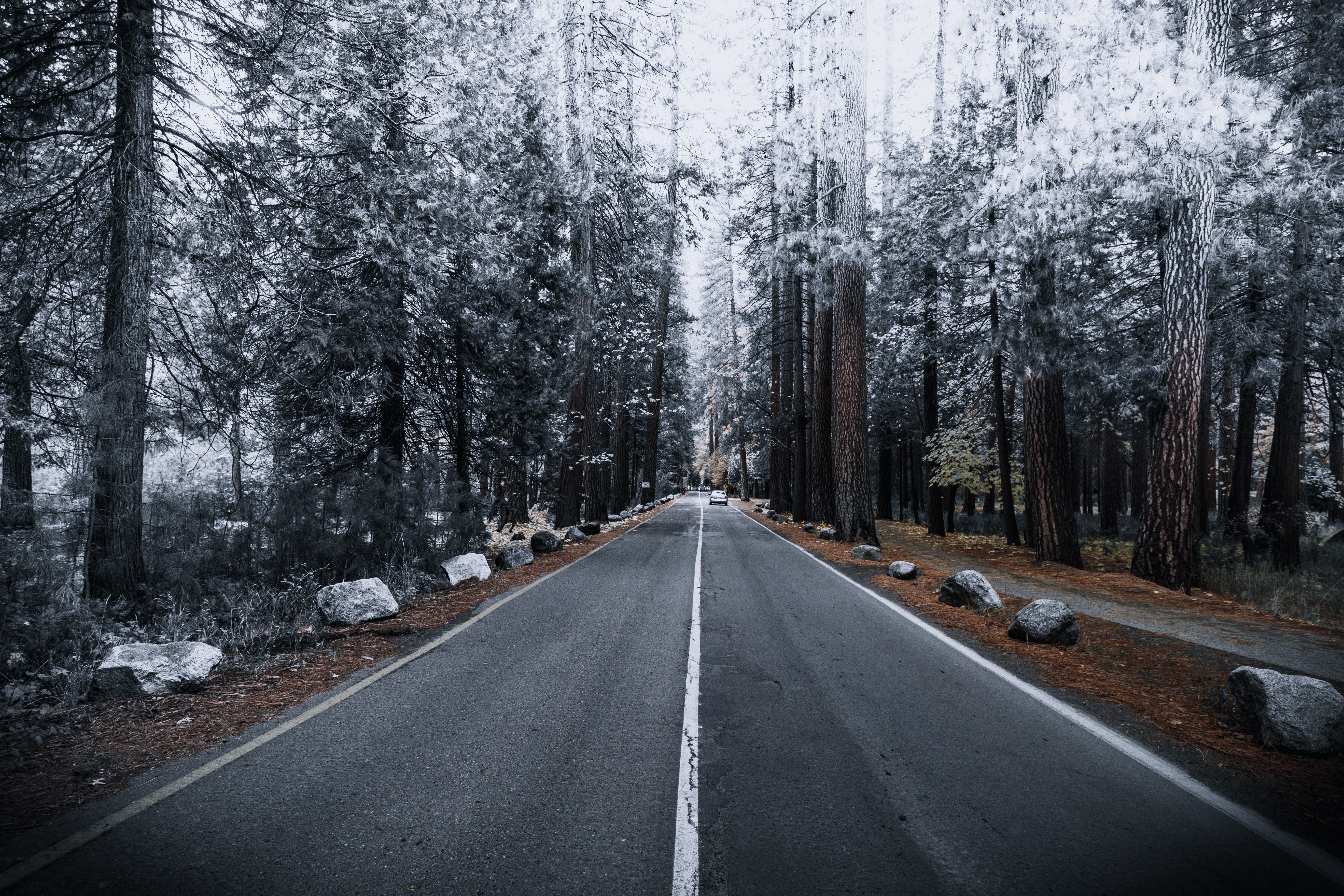 Download mobile wallpaper Frost, Hoarfrost, Markup, Winter, Road, Forest, Autumn, Nature for free.