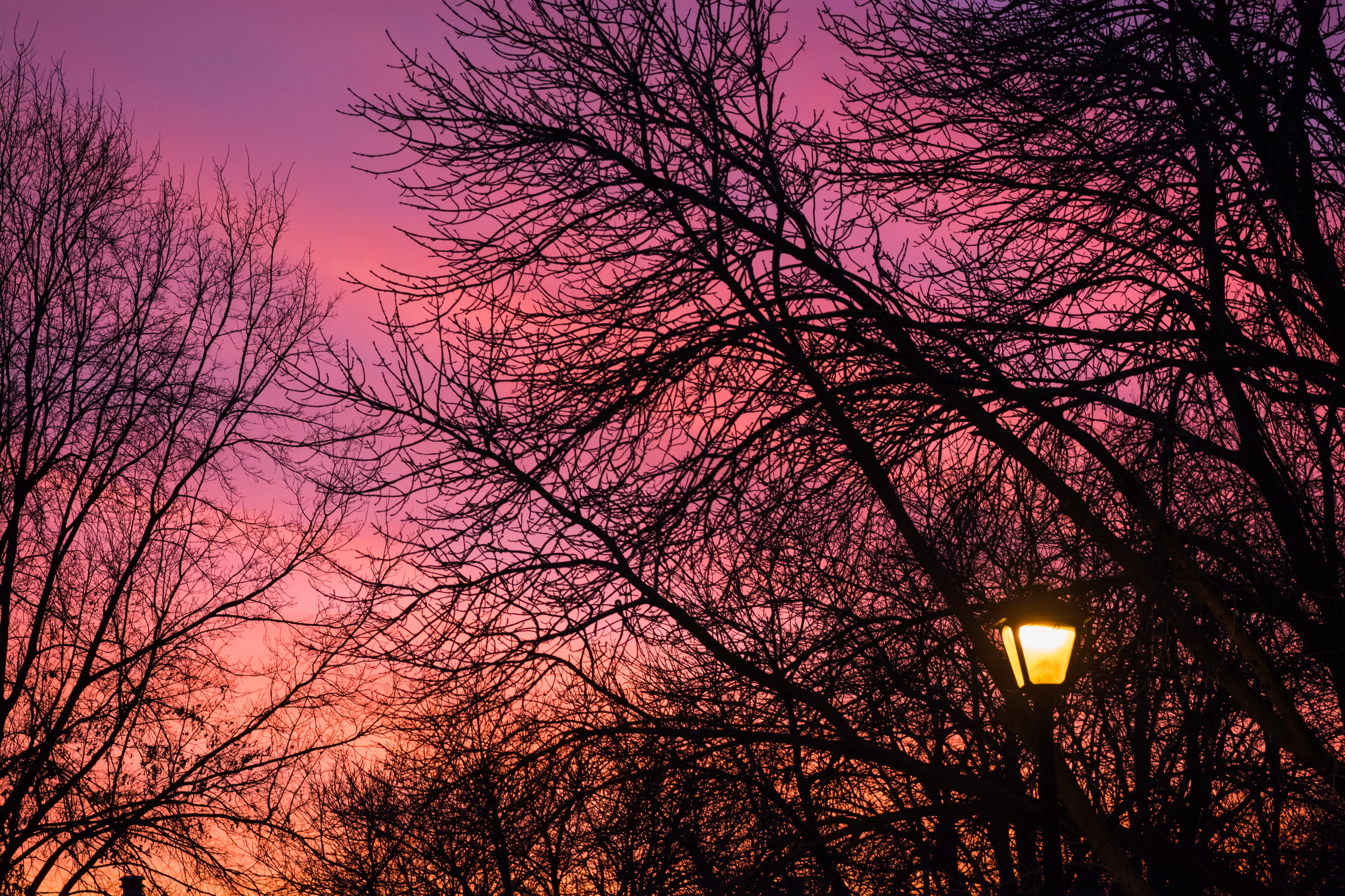 lantern, lamp, trees, dark, sunset, twilight, dusk Full HD