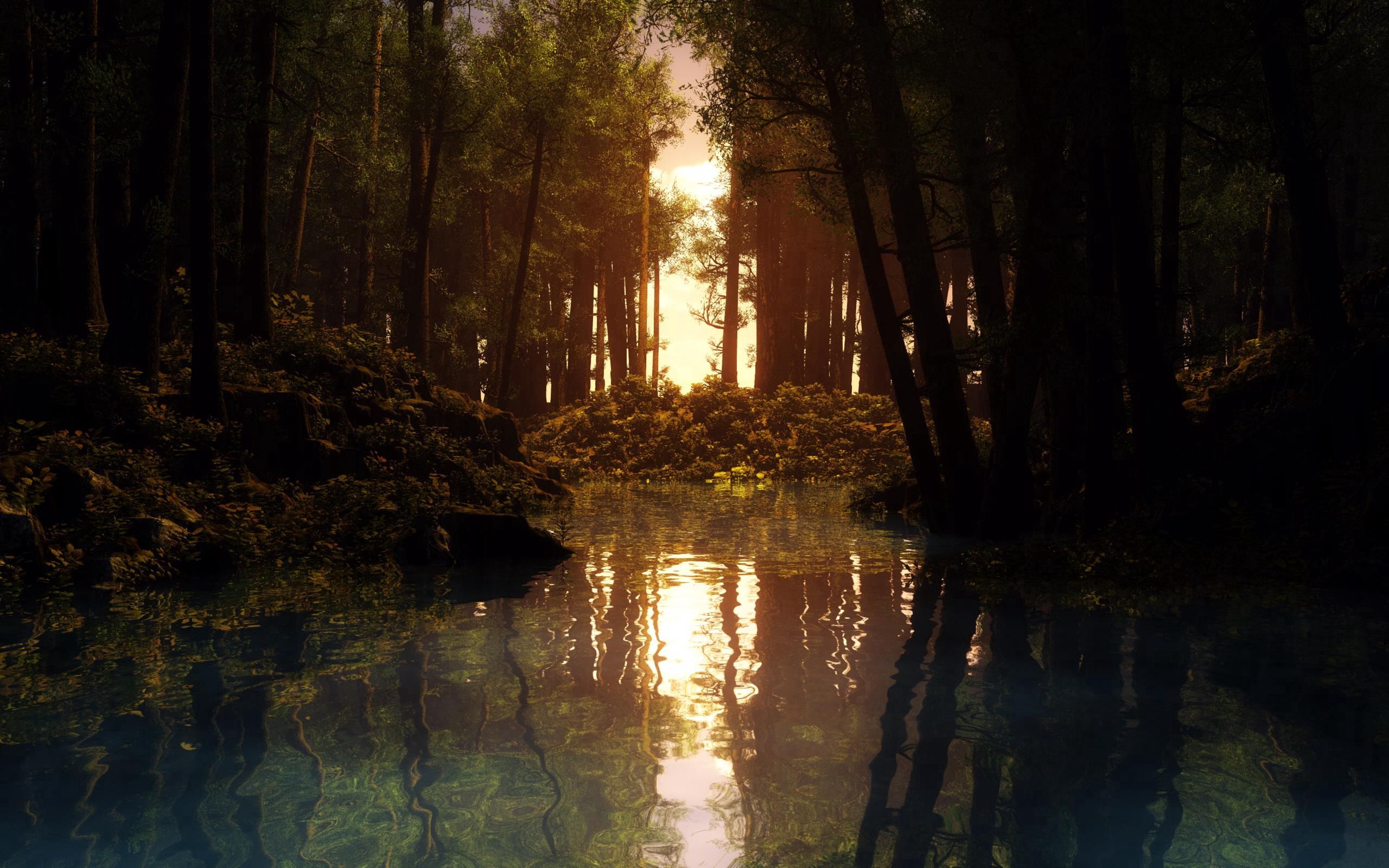 Download mobile wallpaper Fog, Forest, Trees, Rivers, Secret, Mystery, Nature for free.
