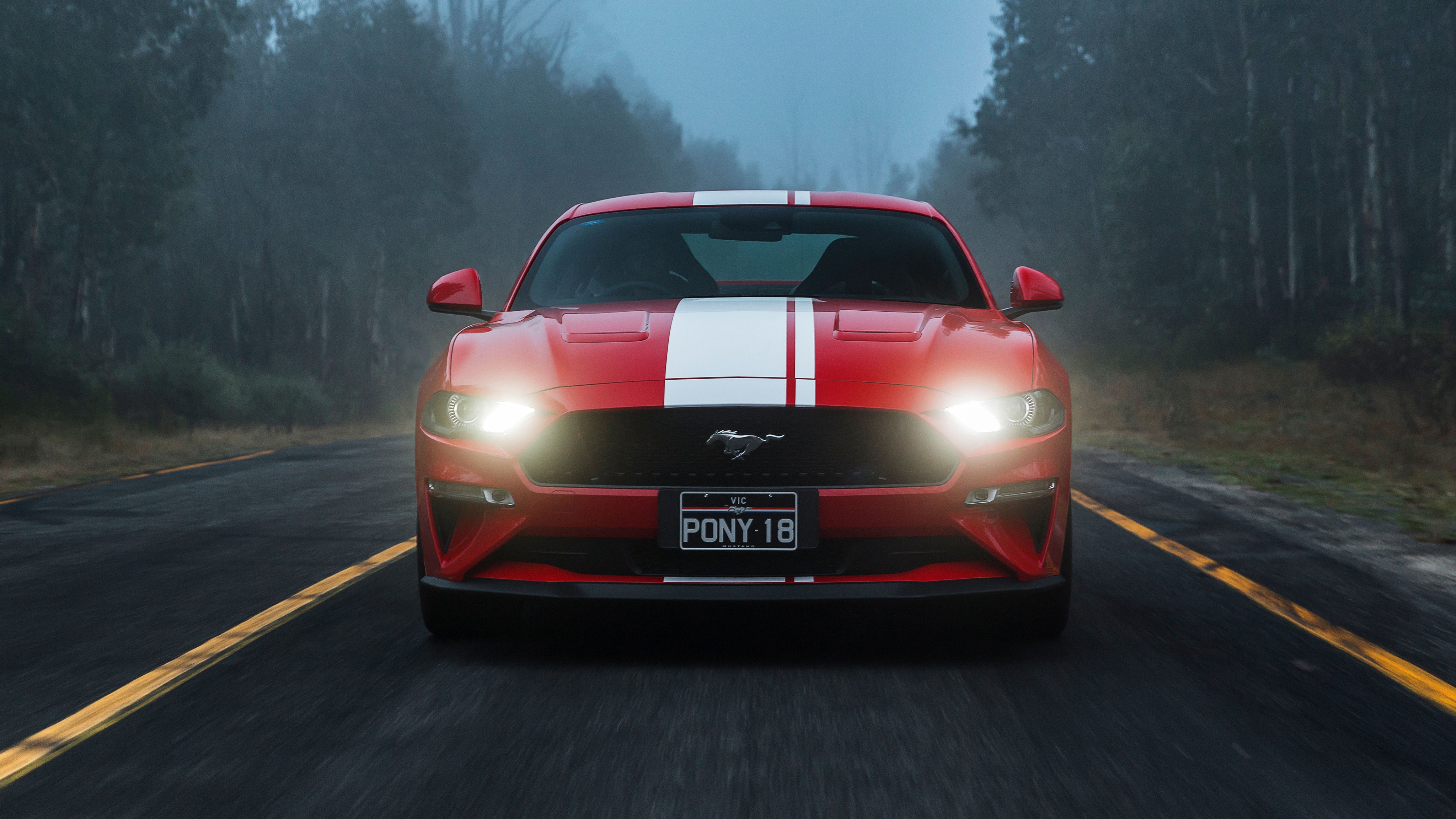 Images & Pictures  Ford Mustang Gt