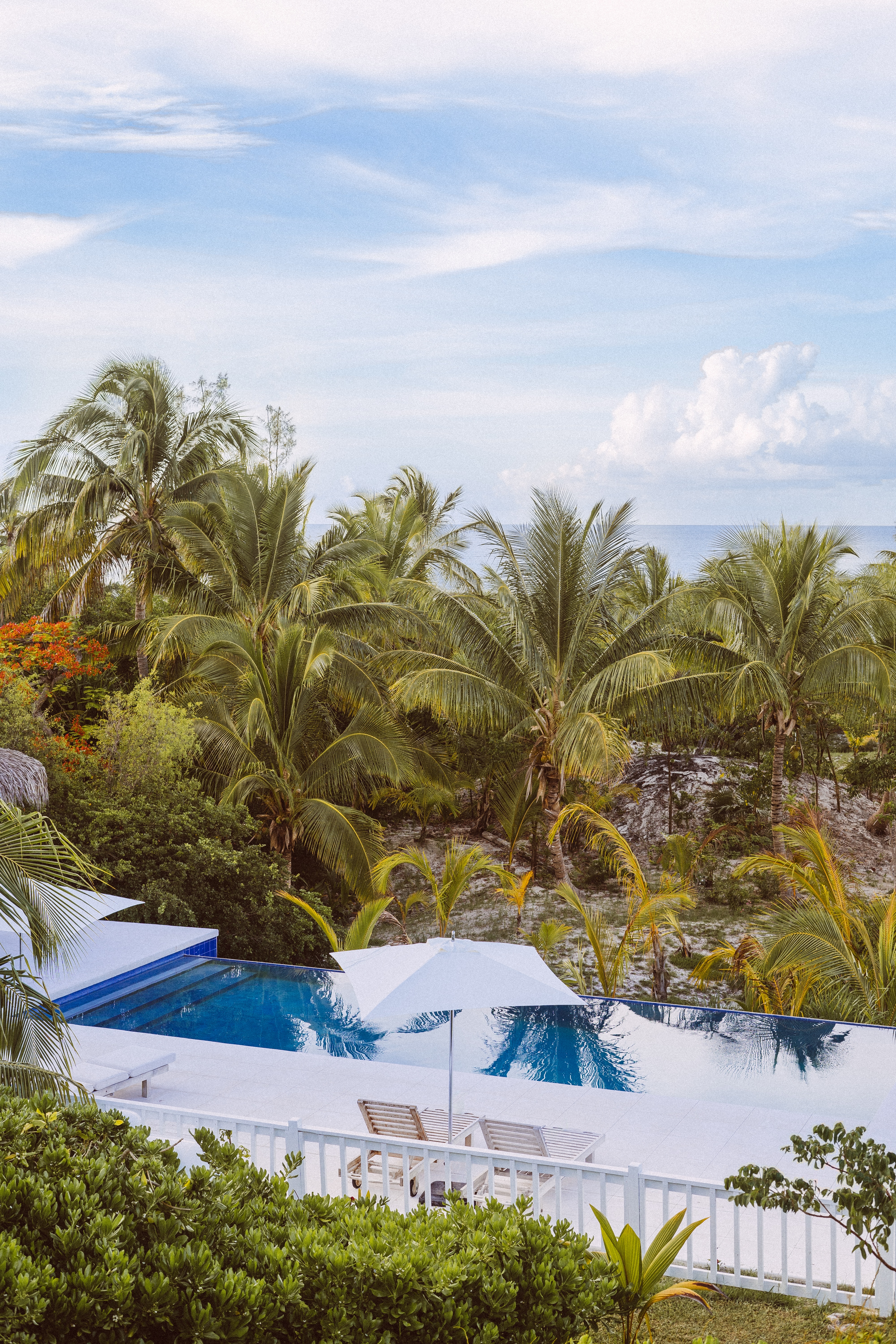 palms, summer, miscellanea, miscellaneous, relaxation, rest, sun loungers, sun beds, pool 1080p