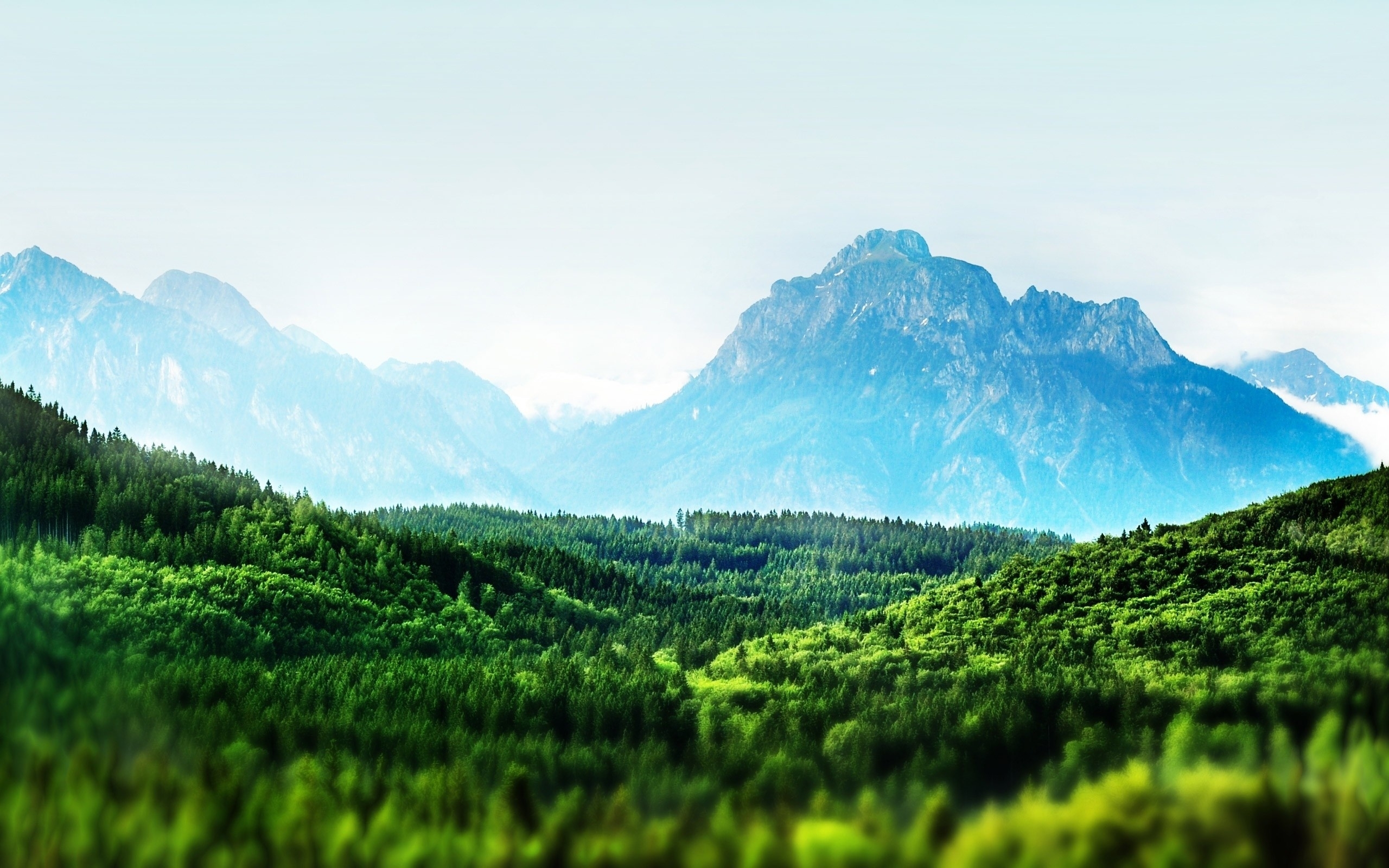 Download mobile wallpaper Landscape, Mountains, Trees for free.