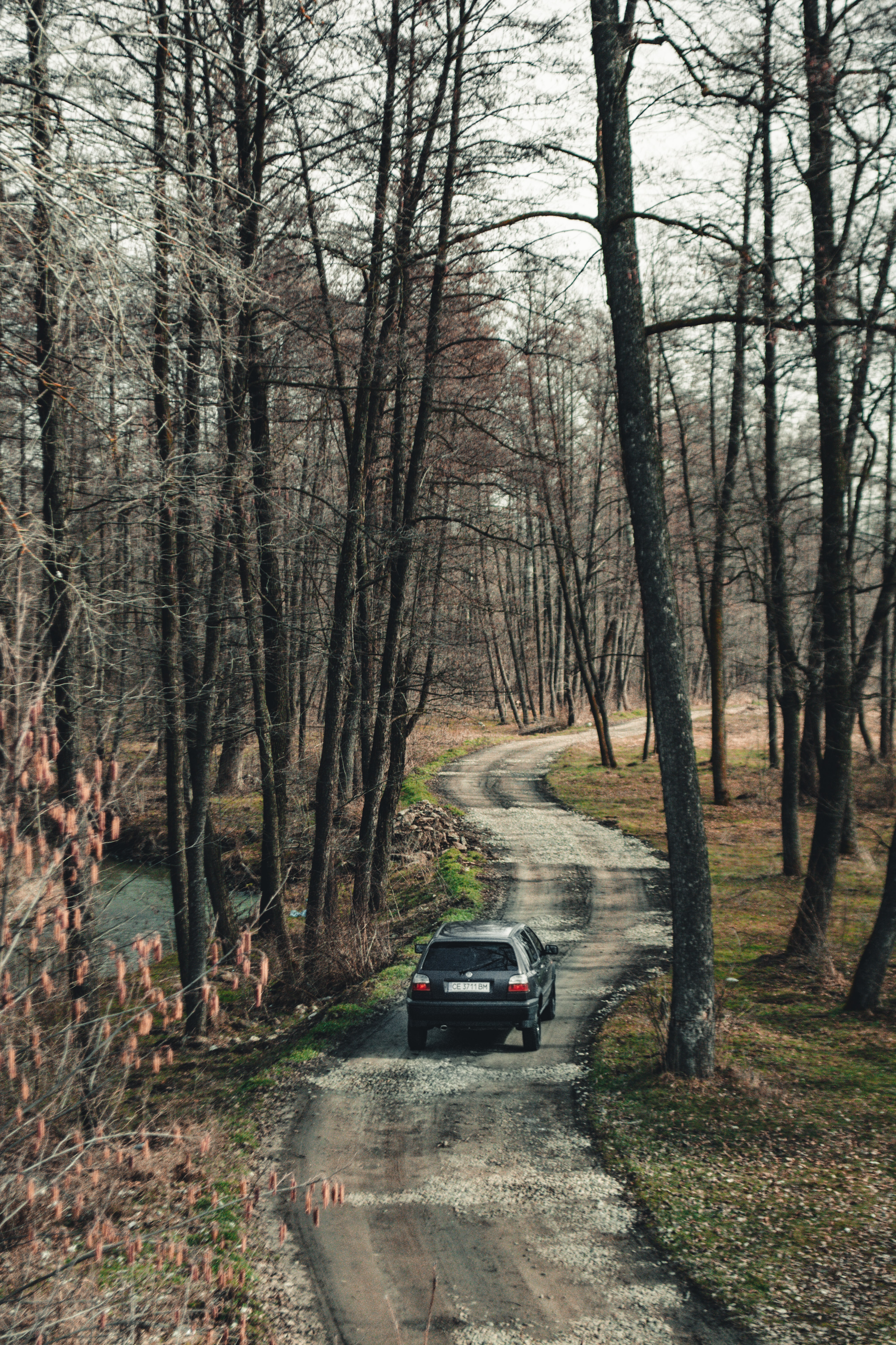 Download mobile wallpaper Suv, Road, Forest, Cars, Car, Volkswagen for free.