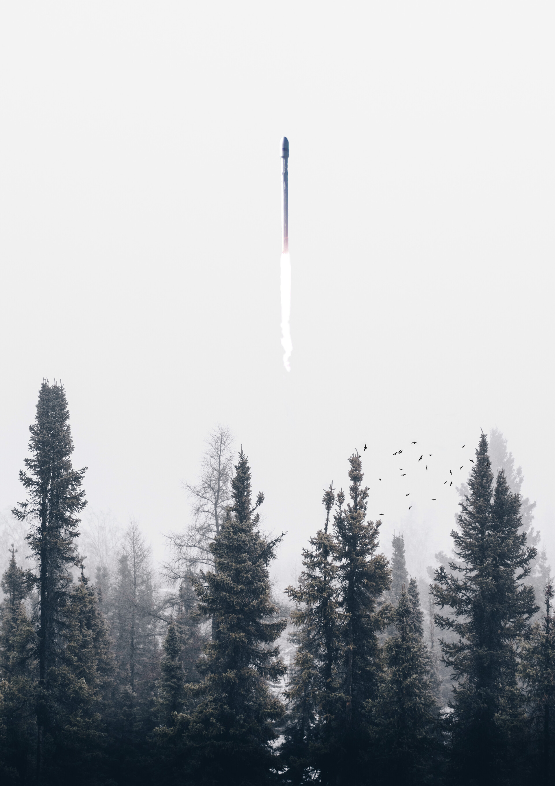 121743 скачать обои дым, ракета, деревья, разное, туман - заставки и картинки бесплатно