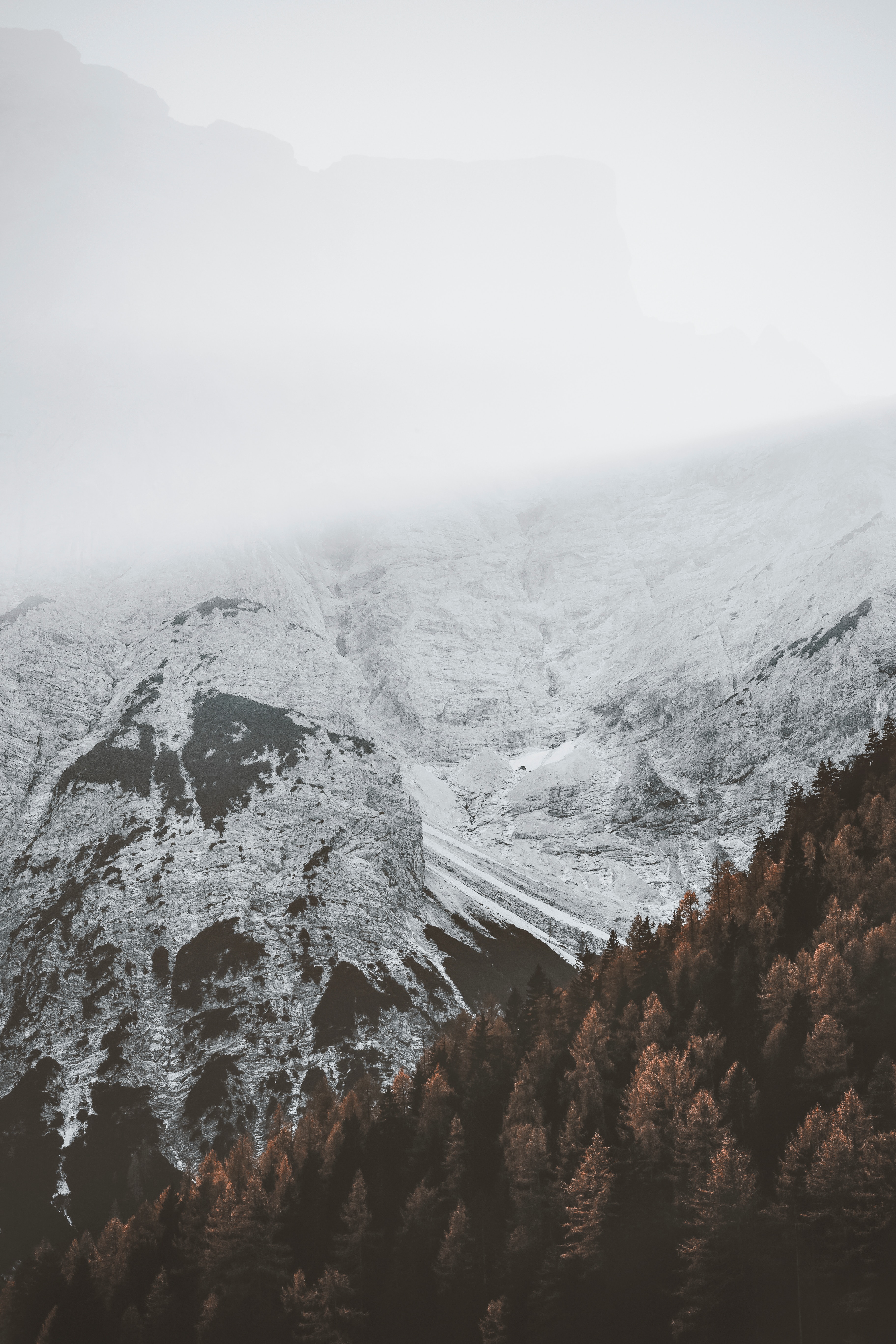 Téléchargez des papiers peints mobile Brouillard, Nature, Montagnes, Forêt, Neige gratuitement.