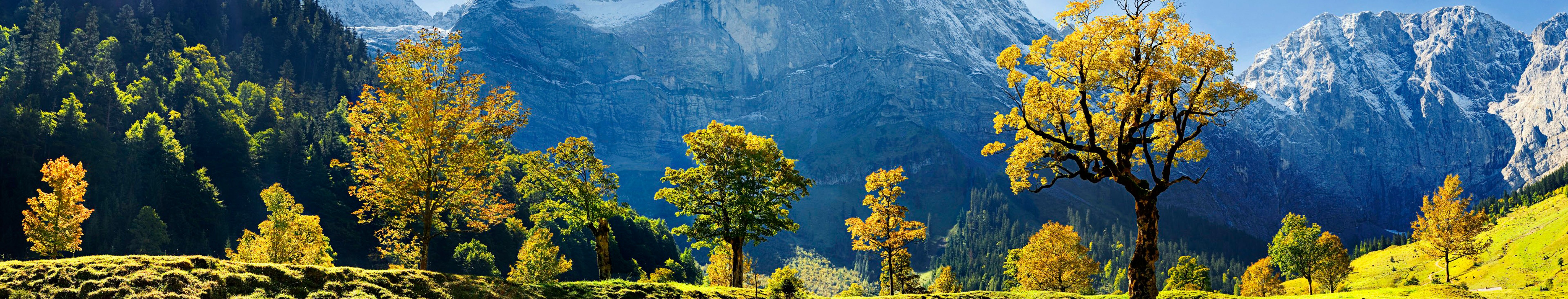 photography, panorama, austria, europe, green, mountain, tree Smartphone Background