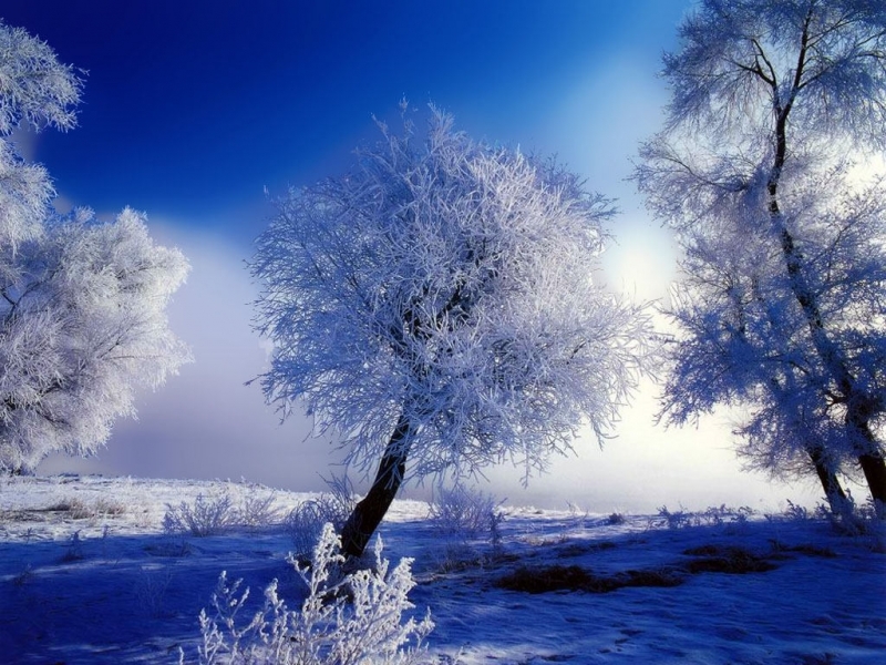 Download mobile wallpaper Landscape, Snow, Nature for free.