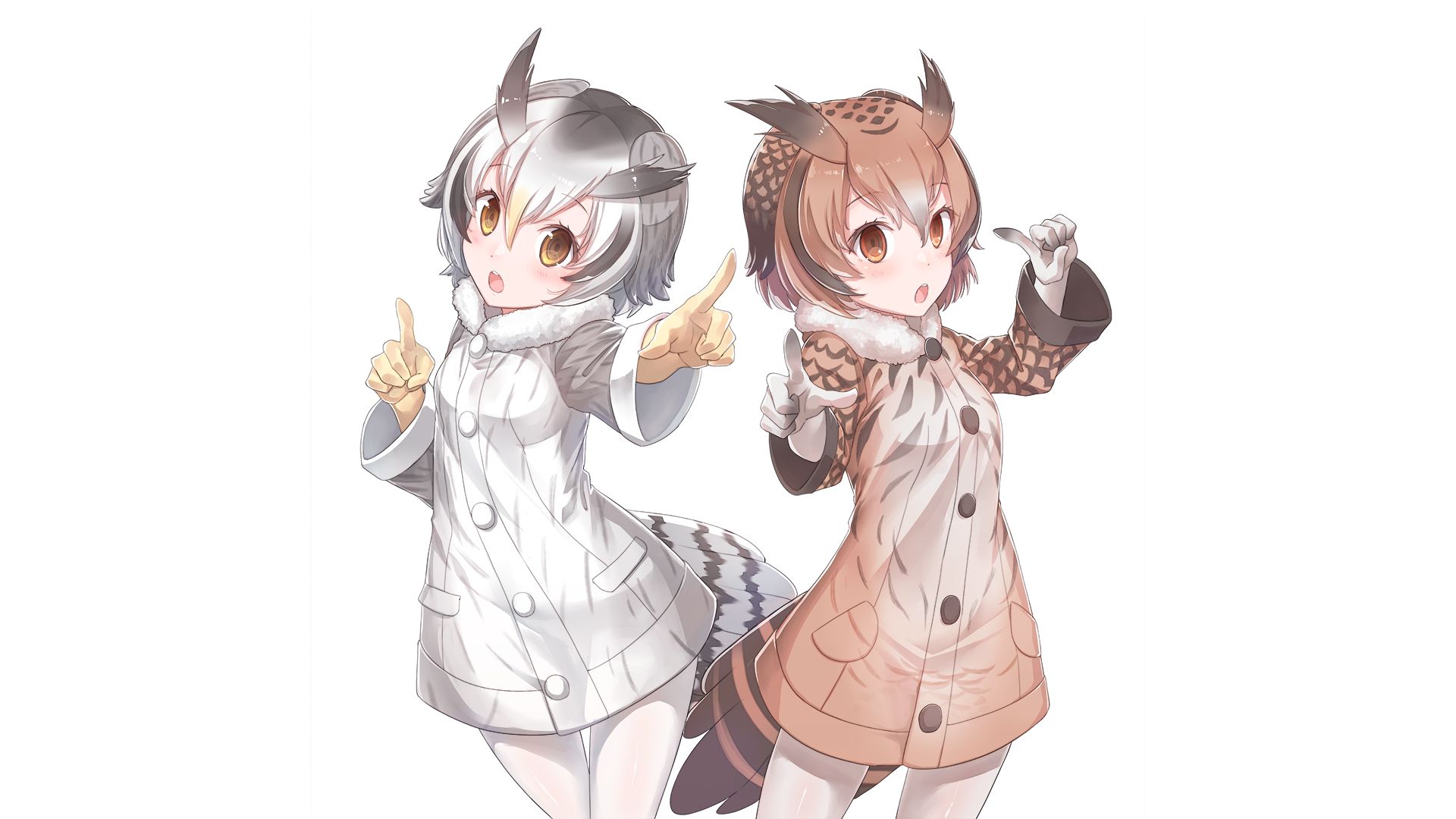 Аниме Kemono friends Northern White-faced Owl
