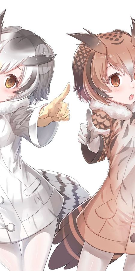 Kemono friends Совы. Kemono friends выдра.