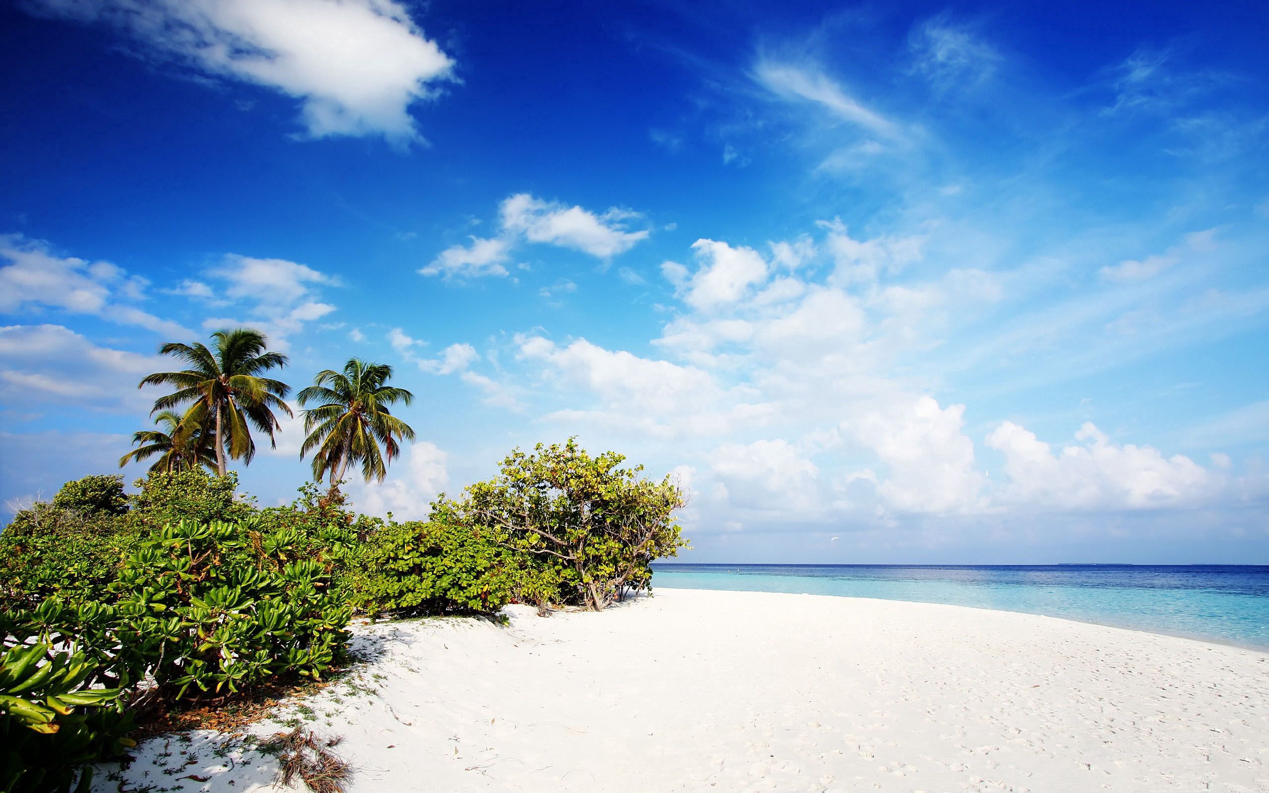 beach, nature, sand, palms, maldives