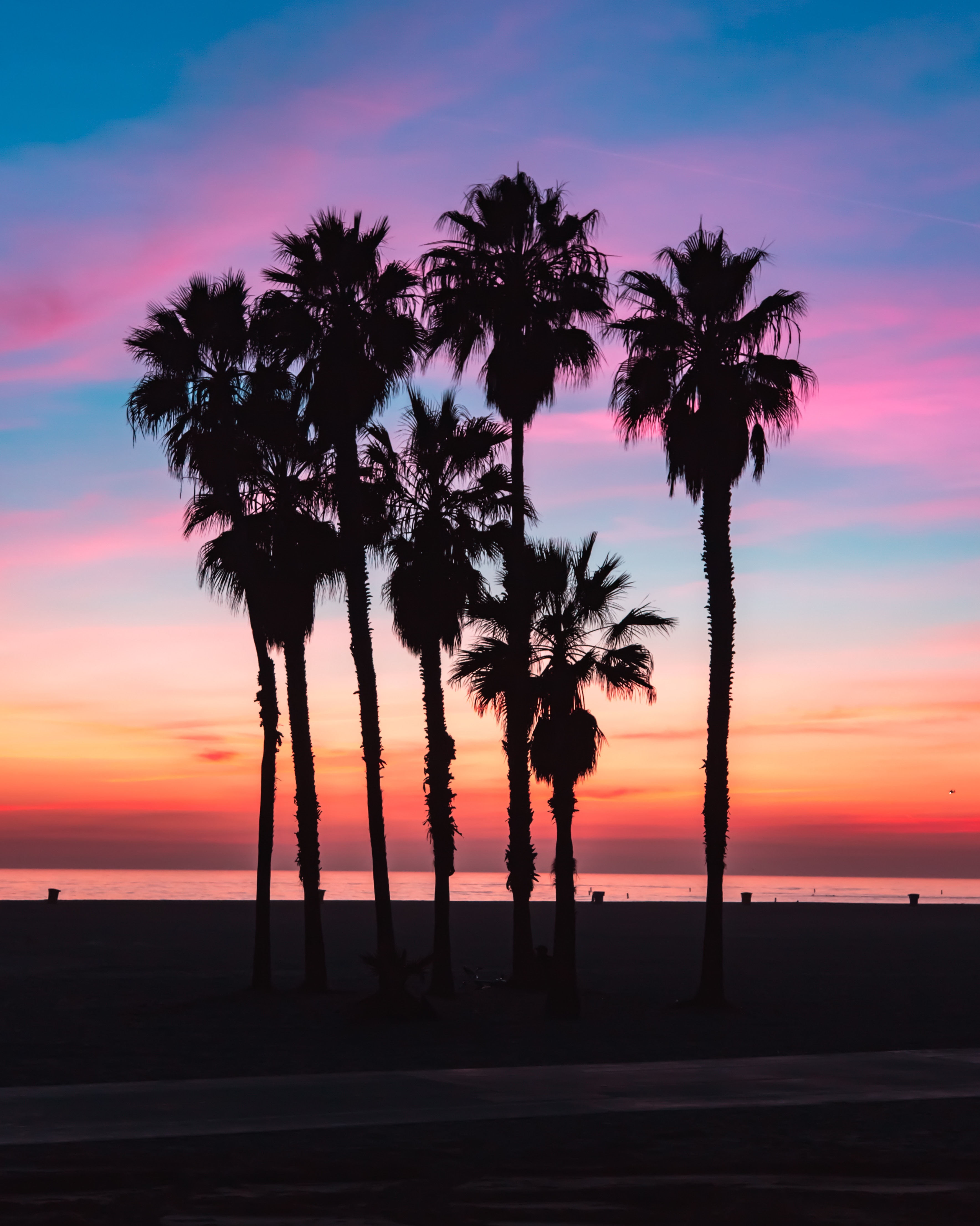 shadow, beach, silhouettes, nature, sky, palms wallpapers for tablet