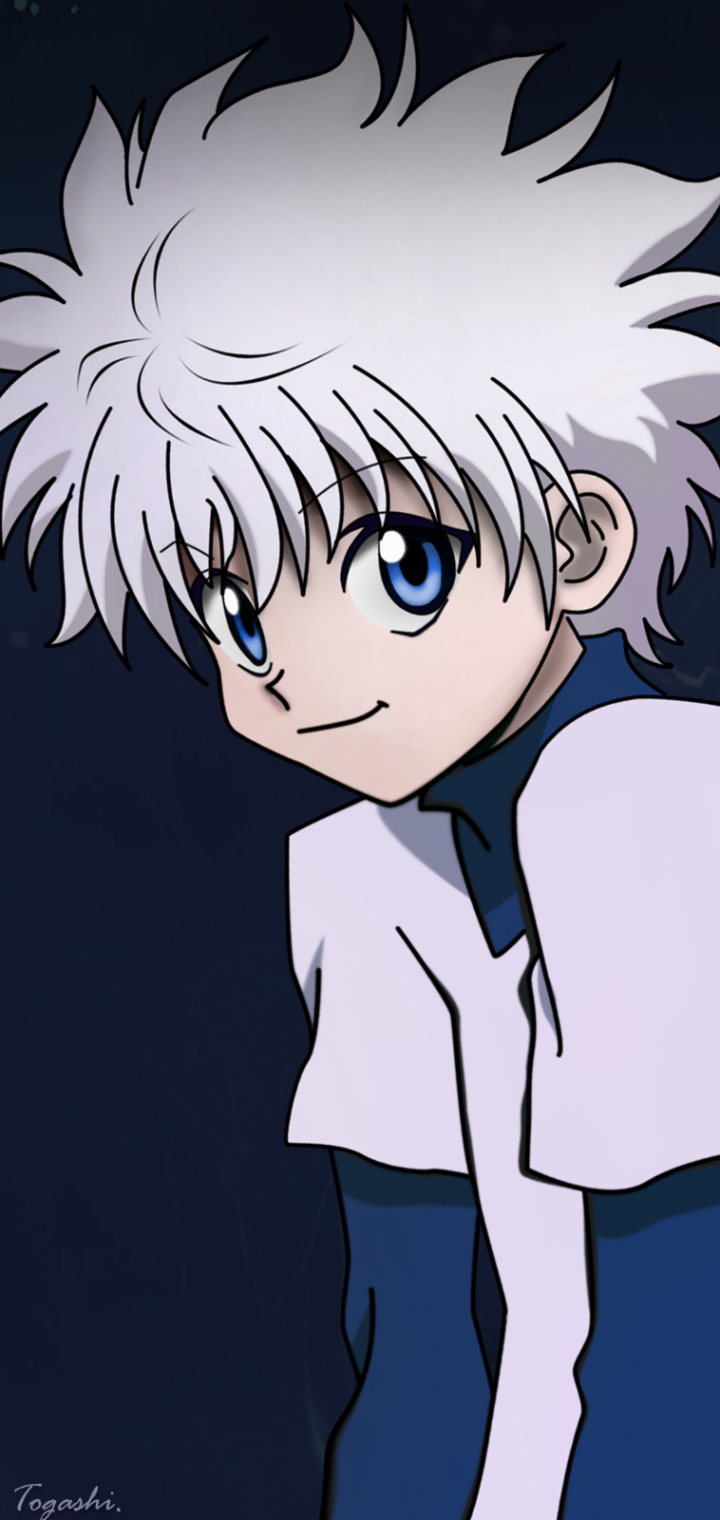 Hunter X Hunter Iphone posted by Ethan Mercado, gon and killua iphone HD  phone wallpaper