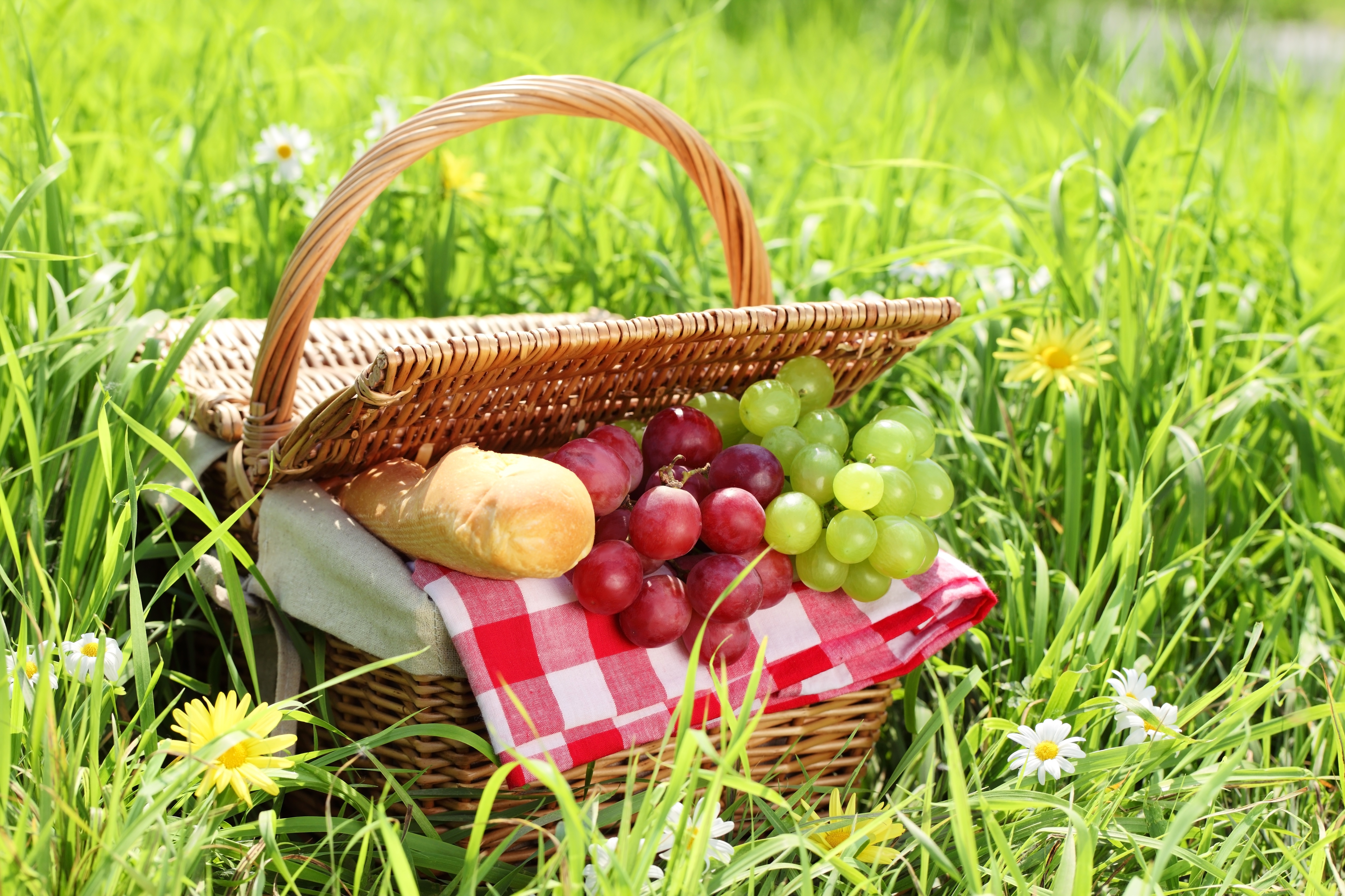 picnic, food High Definition image