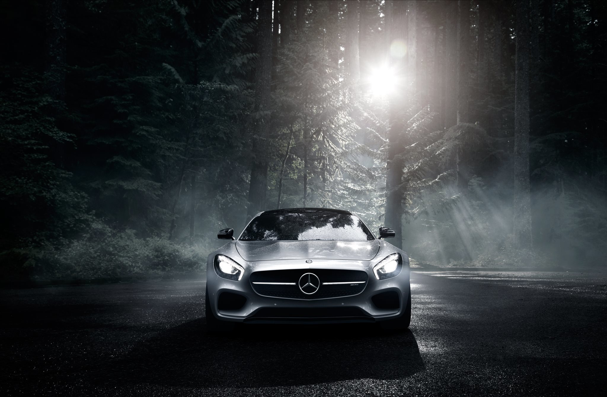 mercedes benz, cars, gt s, night, forest, front view, amg, silver, silvery, 2016