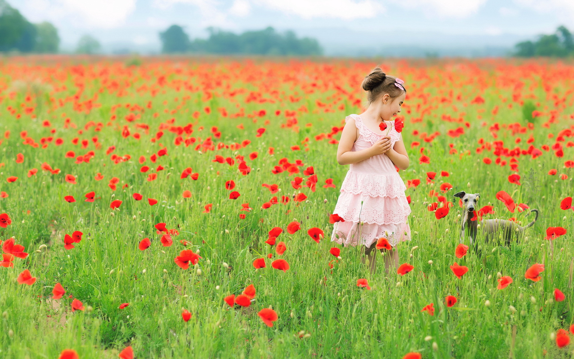 Девочка поле цветы