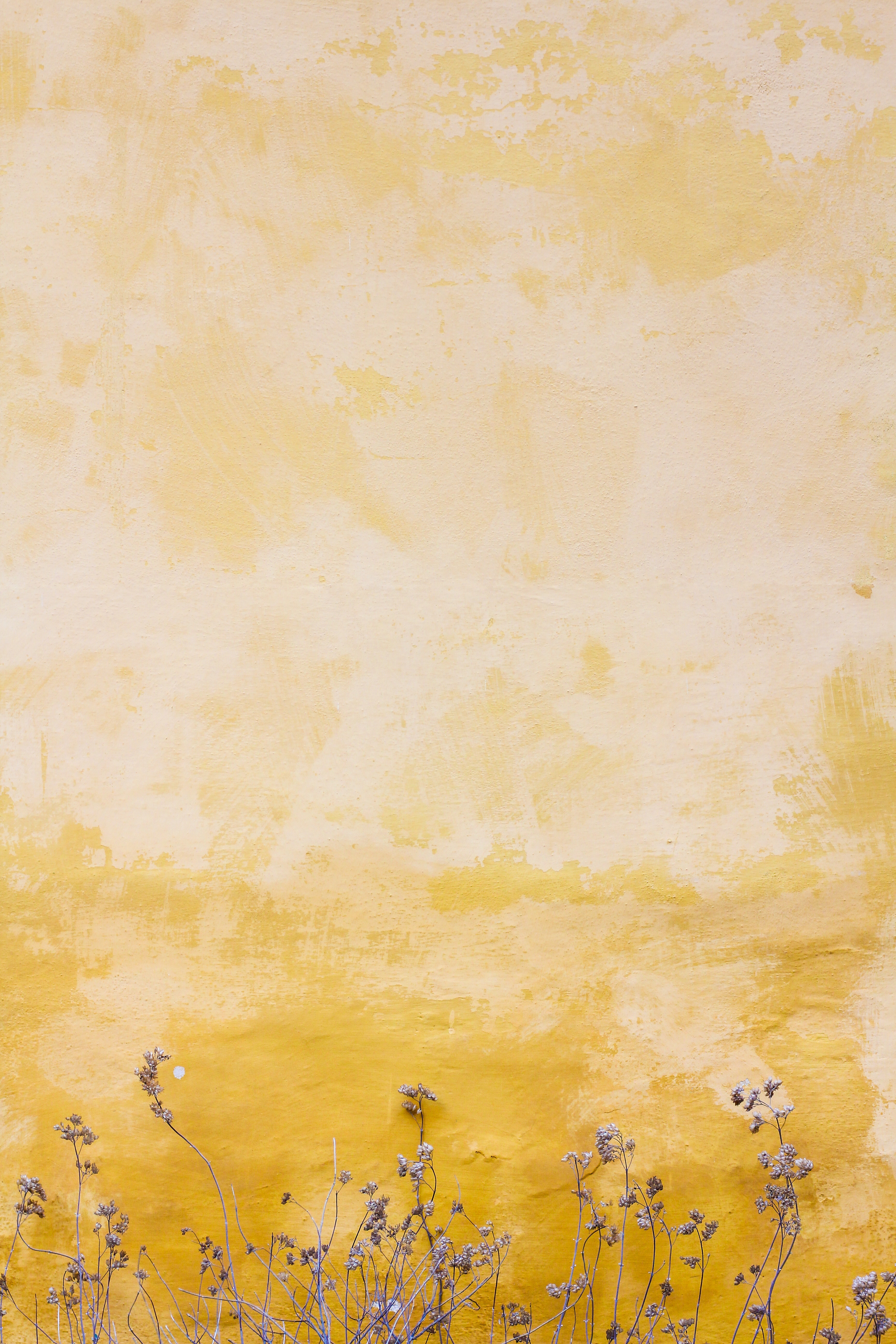 Wallpaper Full HD stains, plants, yellow, texture, textures, wall, spots