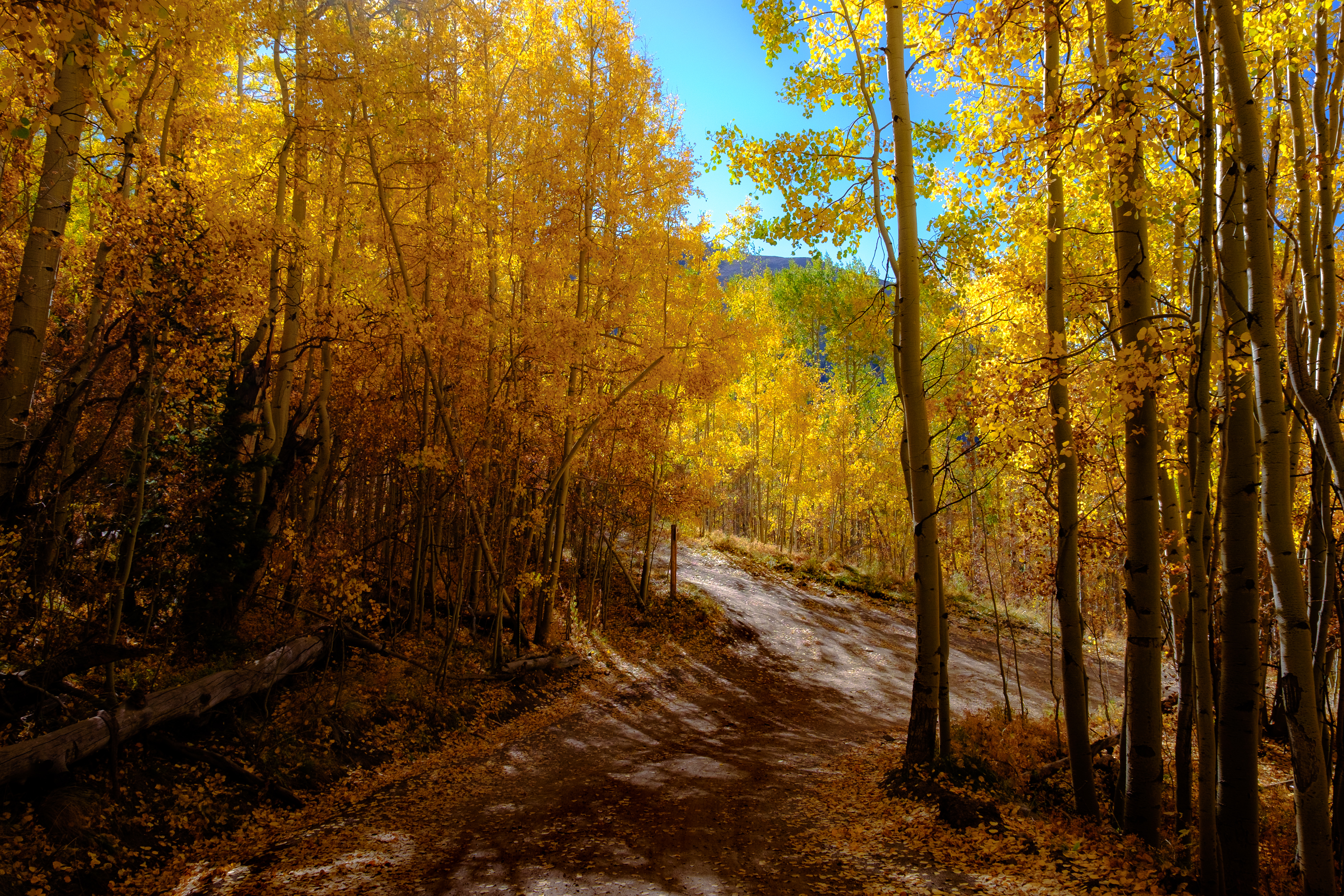 Download mobile wallpaper Trail, Autumn, Mountains, Forest, Path, Nature, Landscape for free.