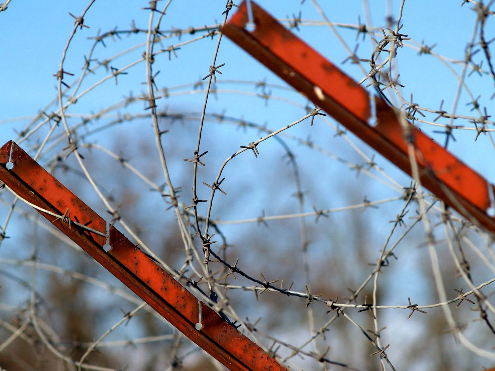 Free HD miscellanea, sky, miscellaneous, paint, metal, rust, barbed wire, stretched, tense