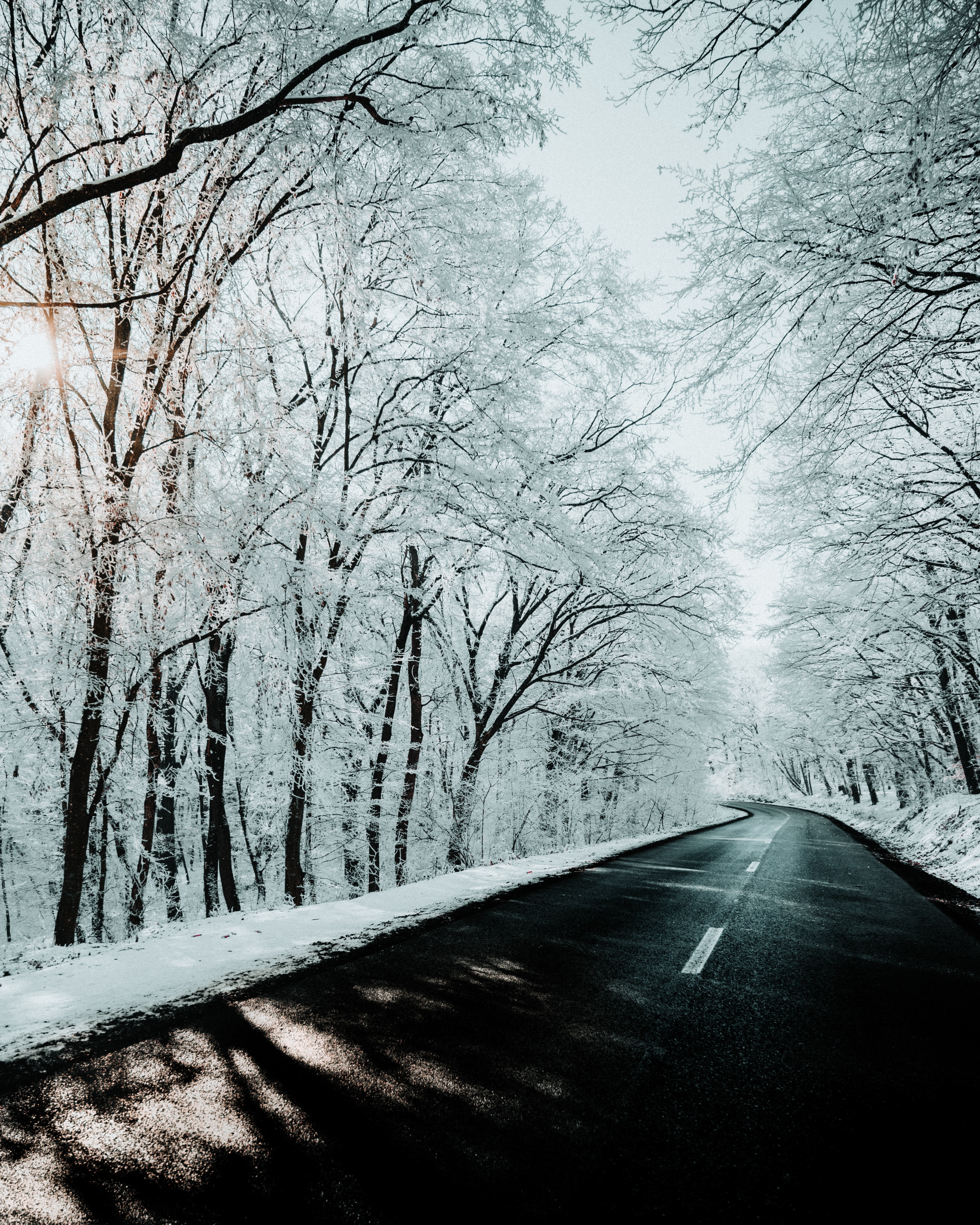 Download mobile wallpaper Snow, Road, Winter, Trees, Nature for free.