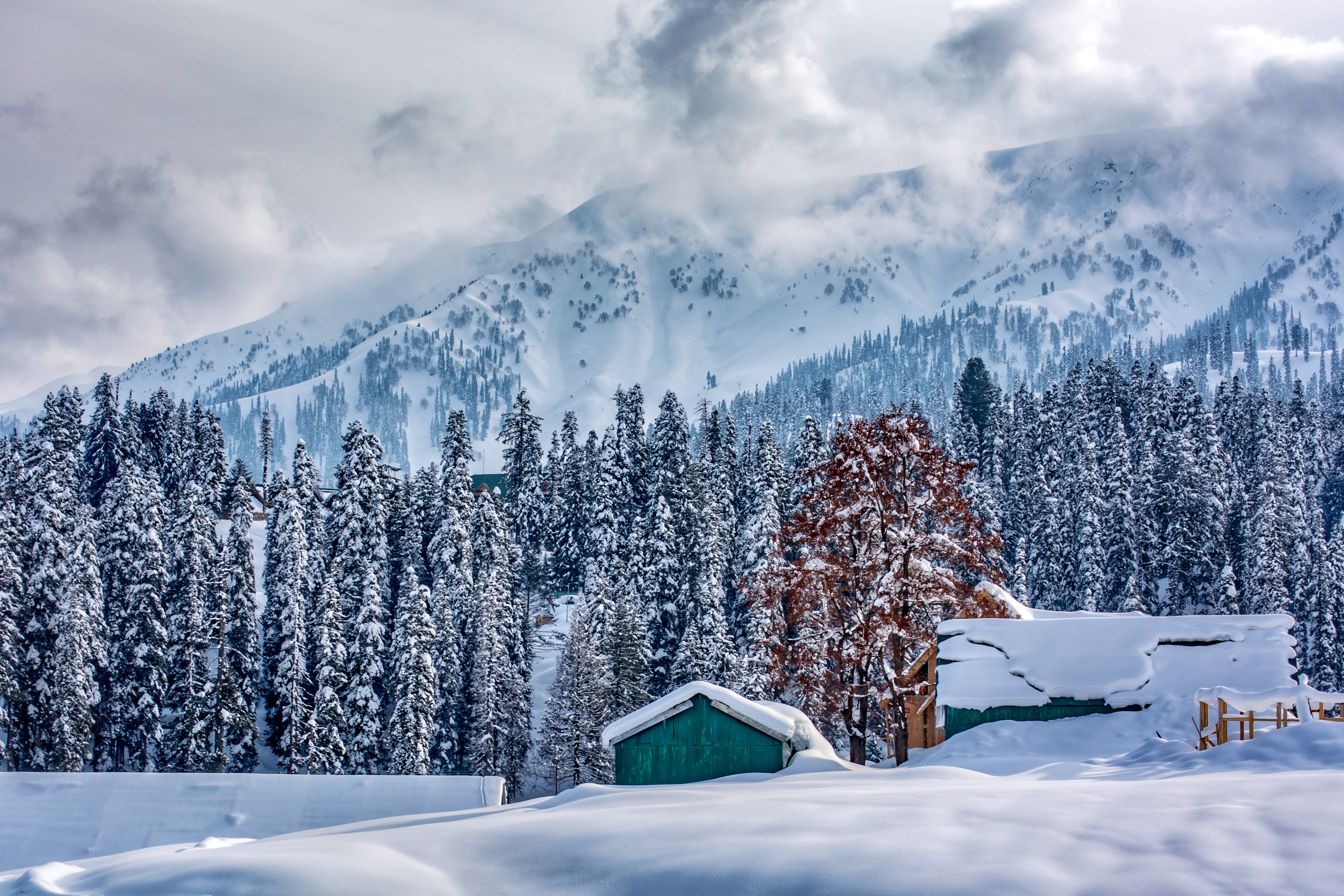 android kashmir, himalayas, winter, nature, mountains