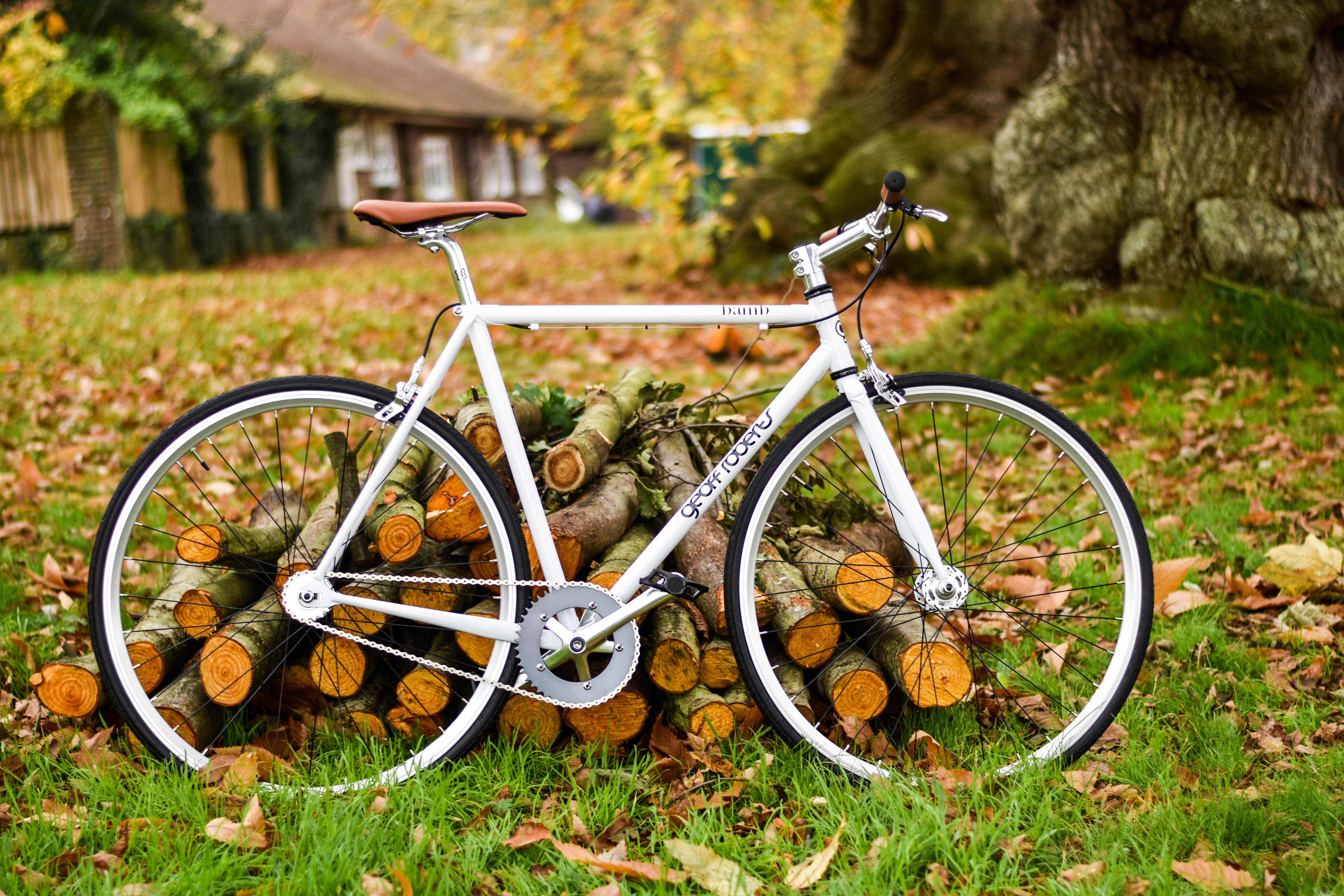 autumn, miscellaneous, miscellanea, foliage, bicycle