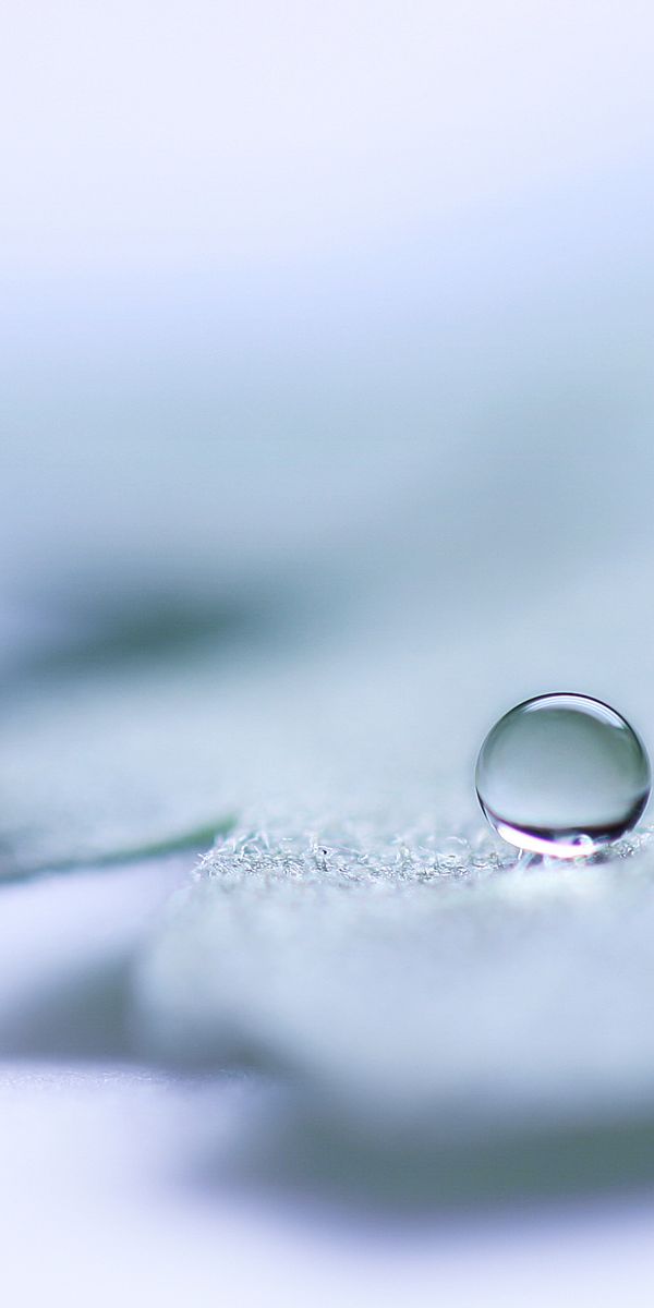 Несколько капель. Капля воды на столе. Замерзшая капля воды. Капля Минимализм. Капля воды на листе.