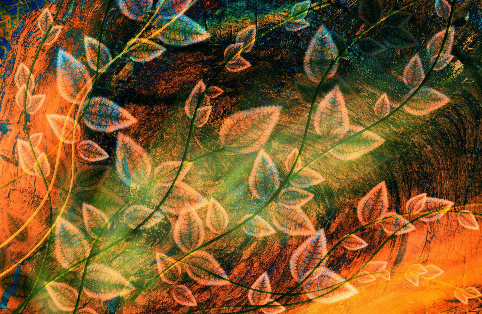 surface, leaves, abstract, multicolored, motley, plant Full HD