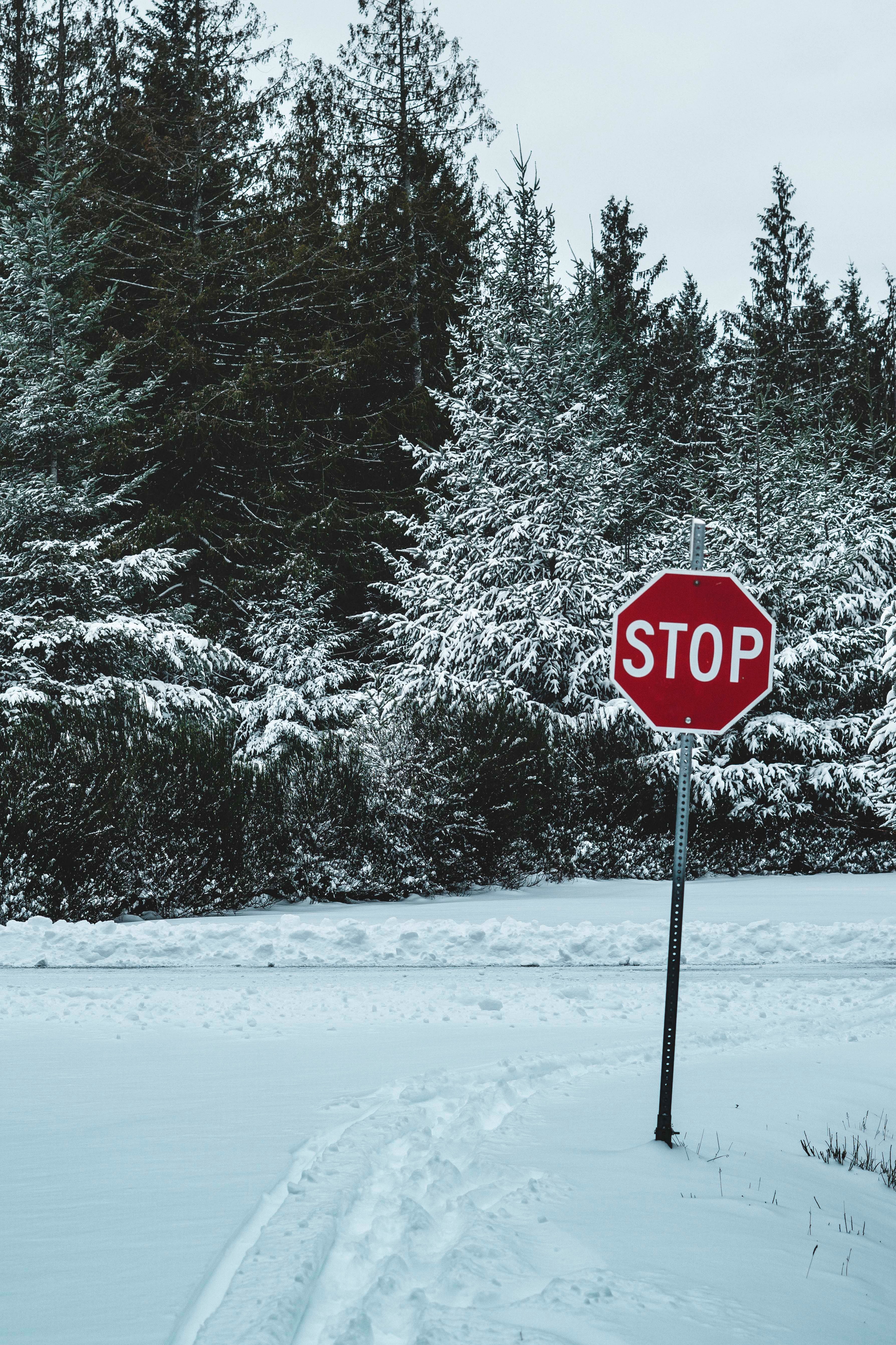 words, nature, trees, snow, sign, stop