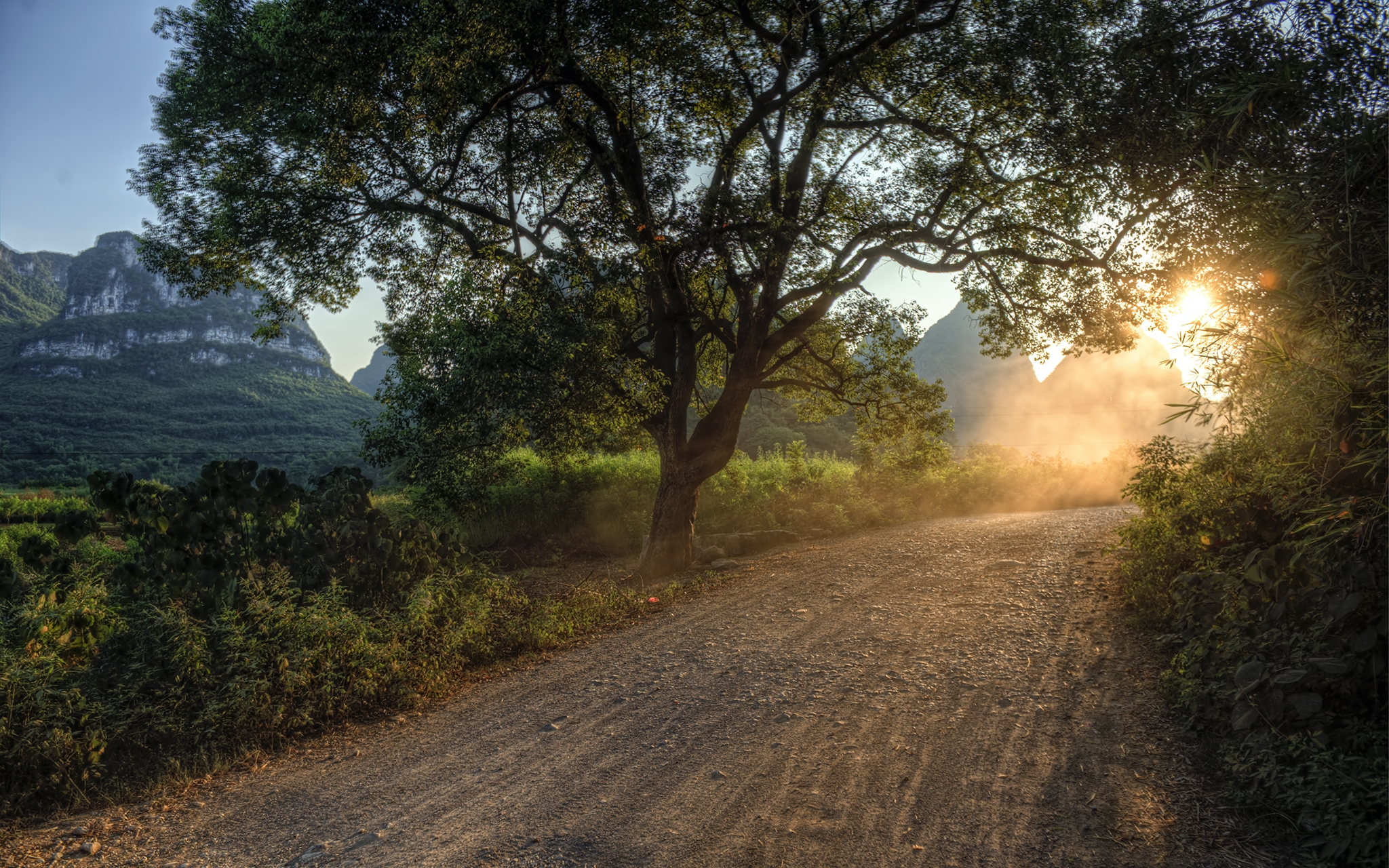 1920 x 1080 picture light, country, nature, trees, sun, dawn, shine, road, path, morning, way, countryside, awakening
