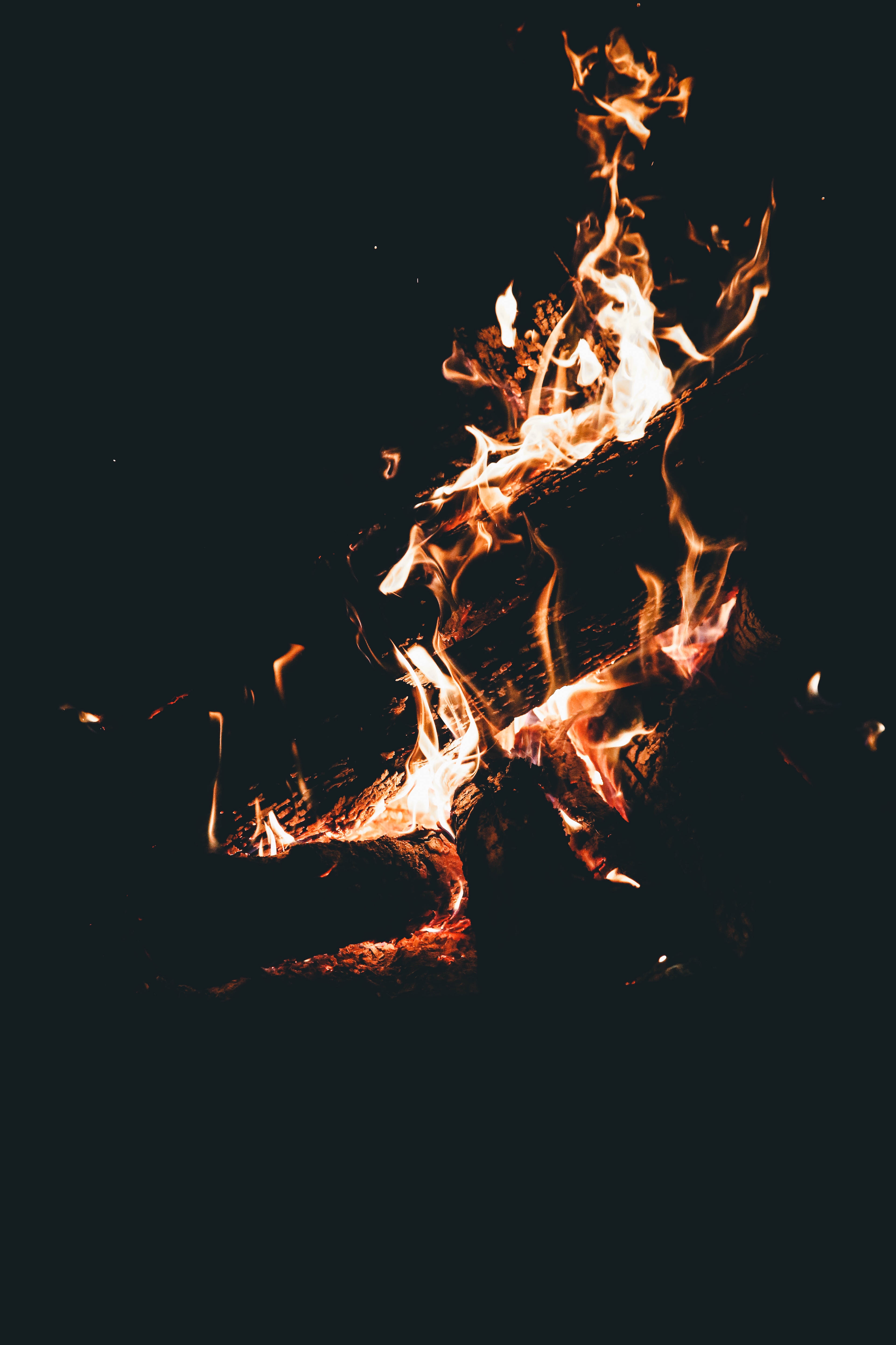 flame, bonfire, dark, fire, firewood, camping, campsite, combustion for android