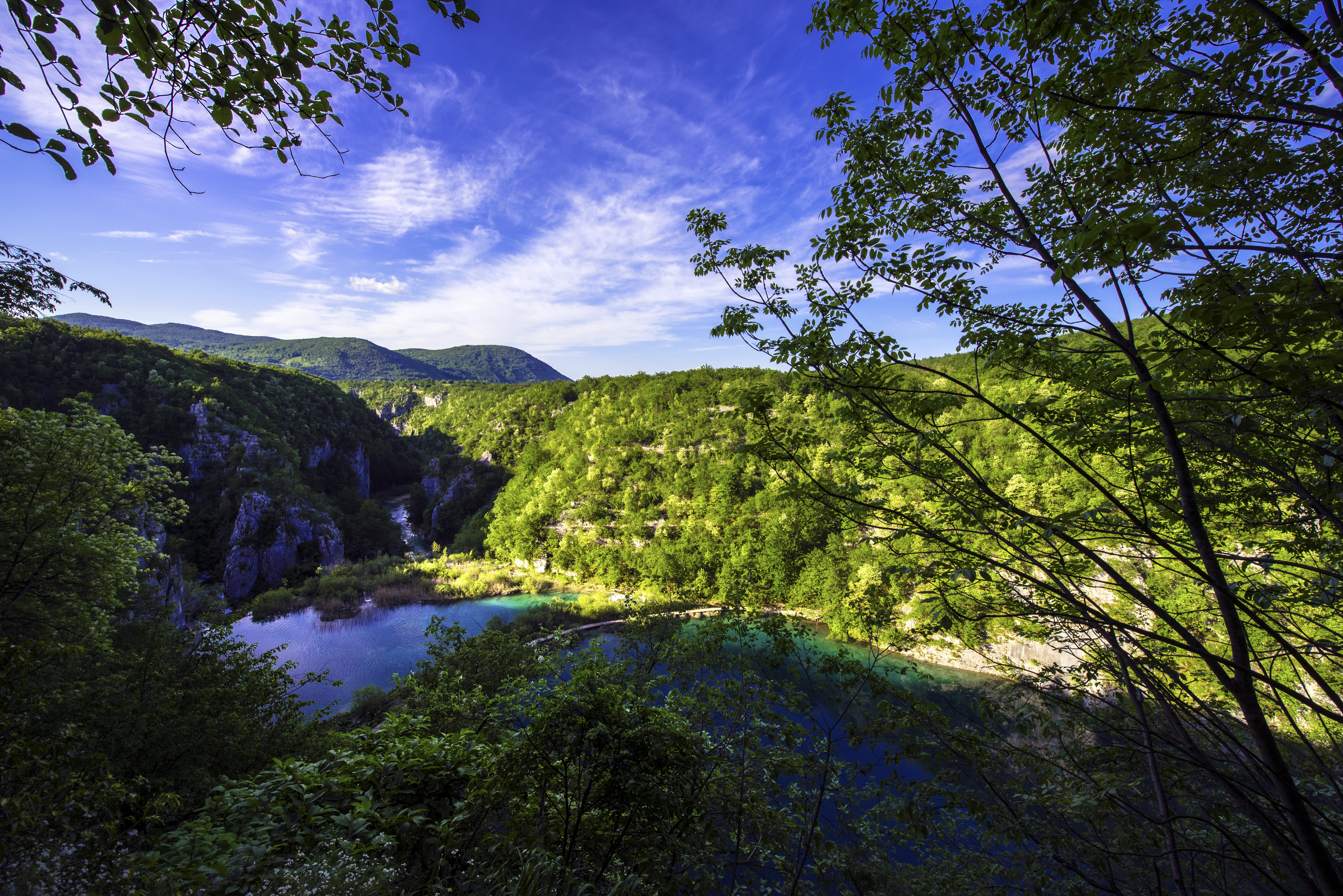 earth, plitvice lake, croatia, forest, green, lake, plitvice lake national park, tree