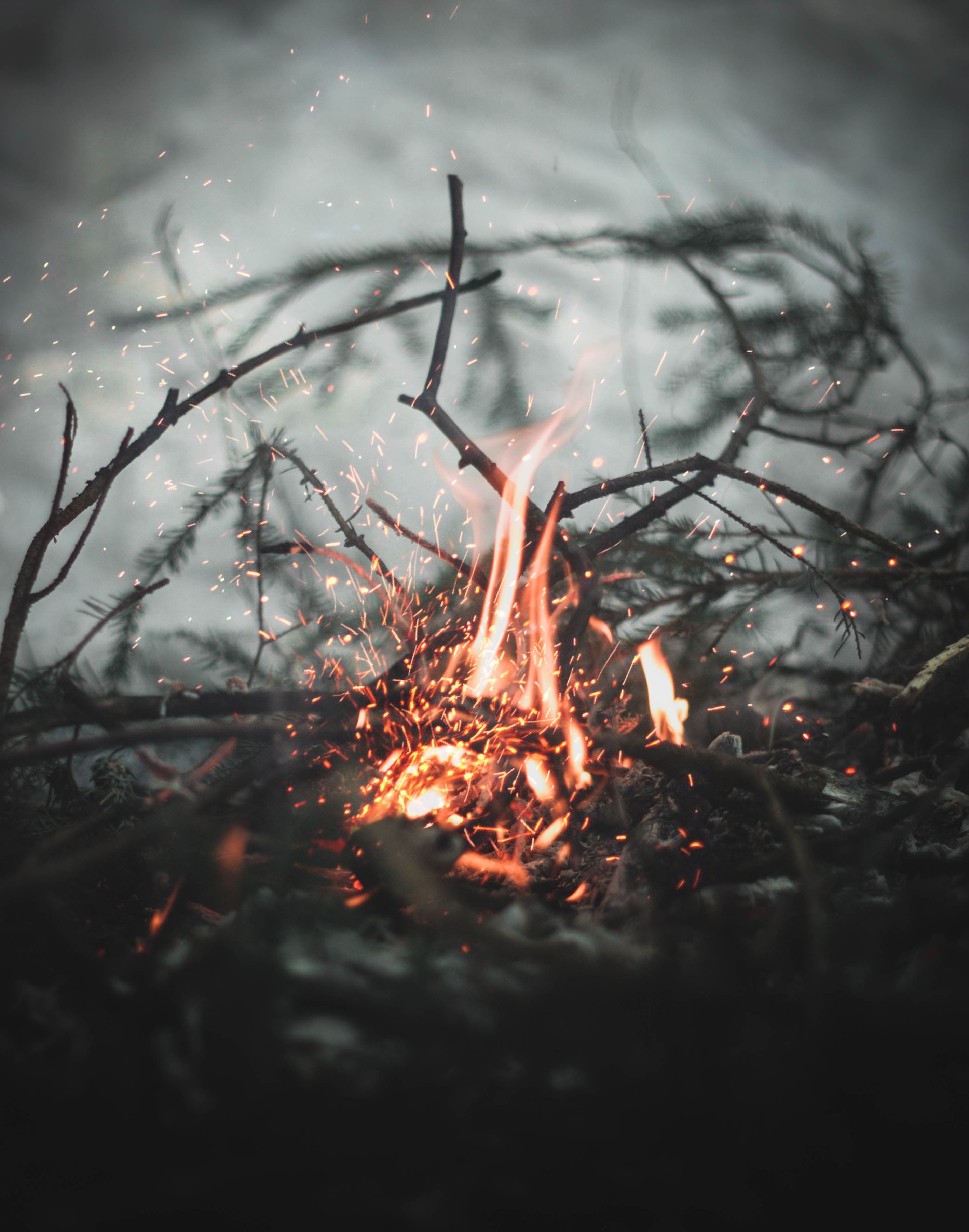 blur, sparks, bonfire, smooth, miscellaneous, fire, miscellanea, branches