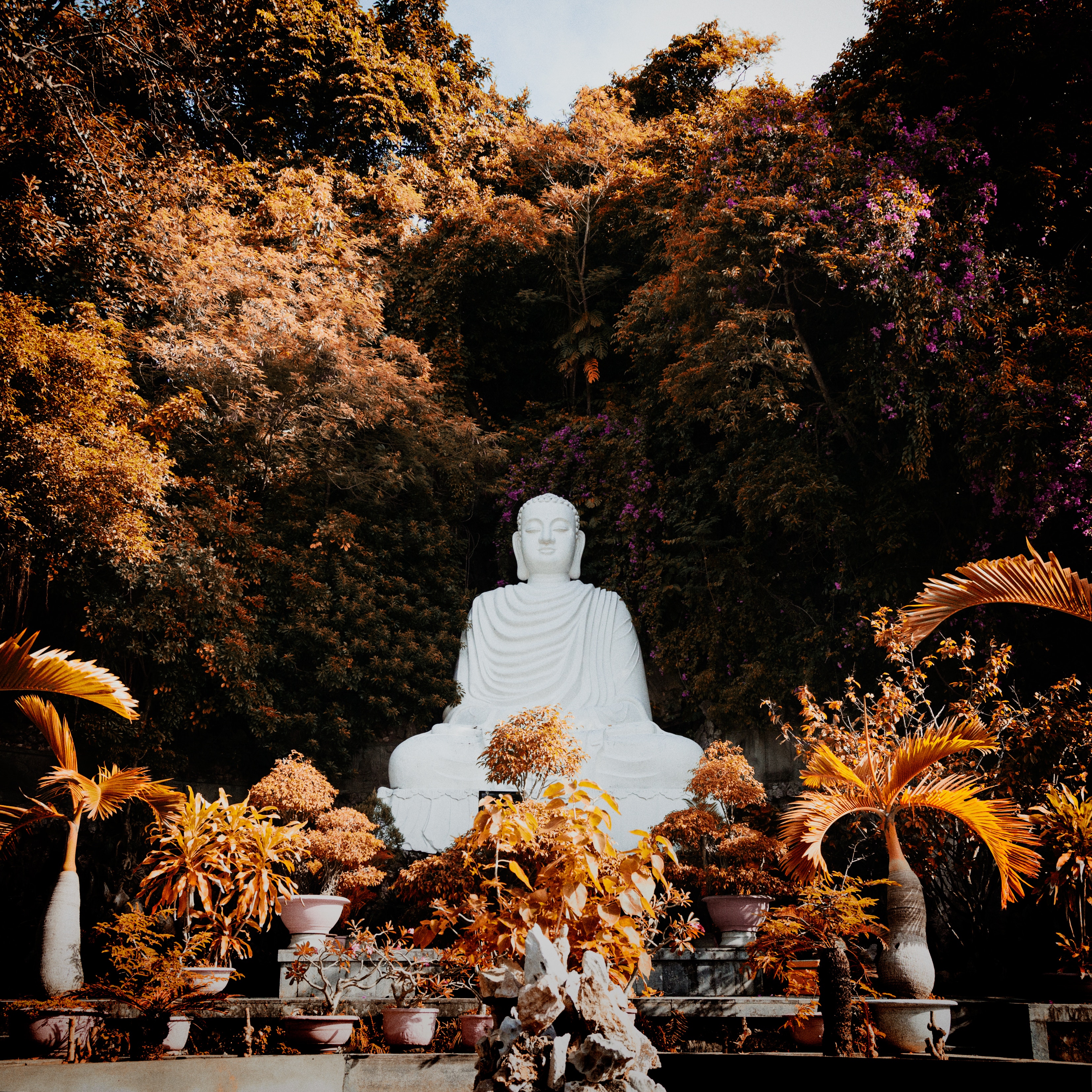 buddhism, buddha, harmony, sculpture, plants, trees, miscellanea, miscellaneous