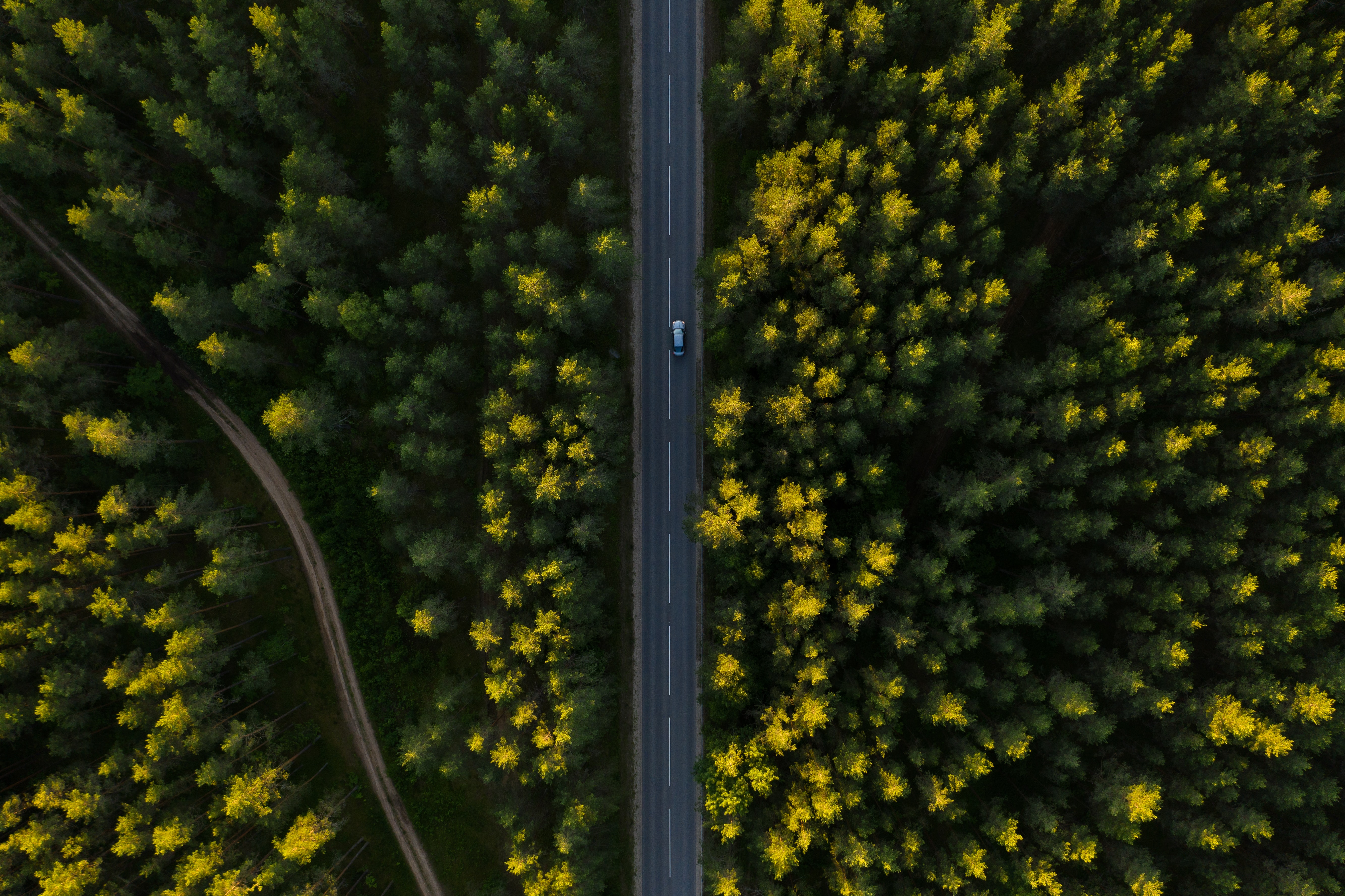 114763 descargar fondo de pantalla naturaleza, árboles, vista desde arriba, camino, un coche, máquina: protectores de pantalla e imágenes gratis