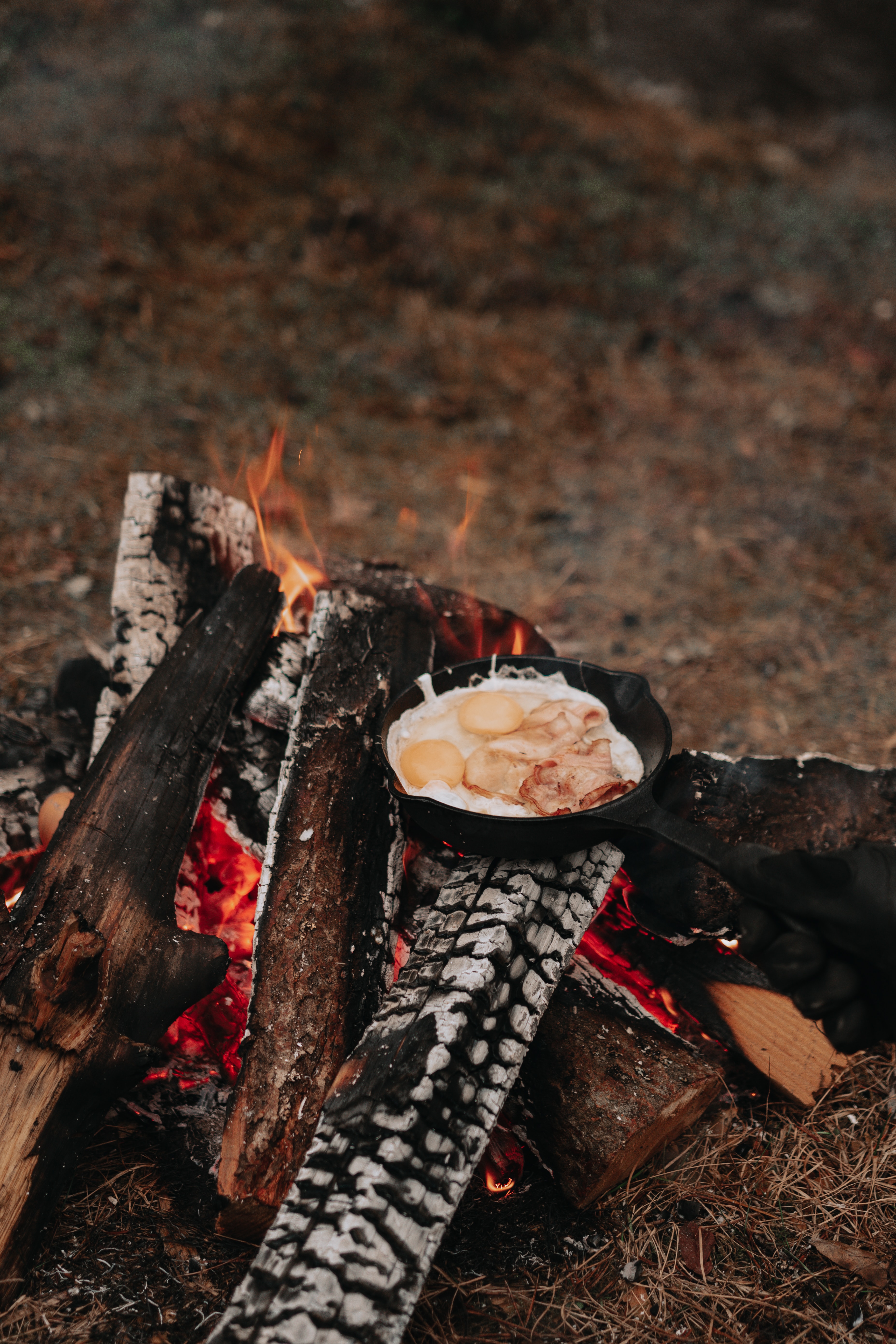 bonfire, nature, miscellanea, miscellaneous, camping, campsite, breakfast