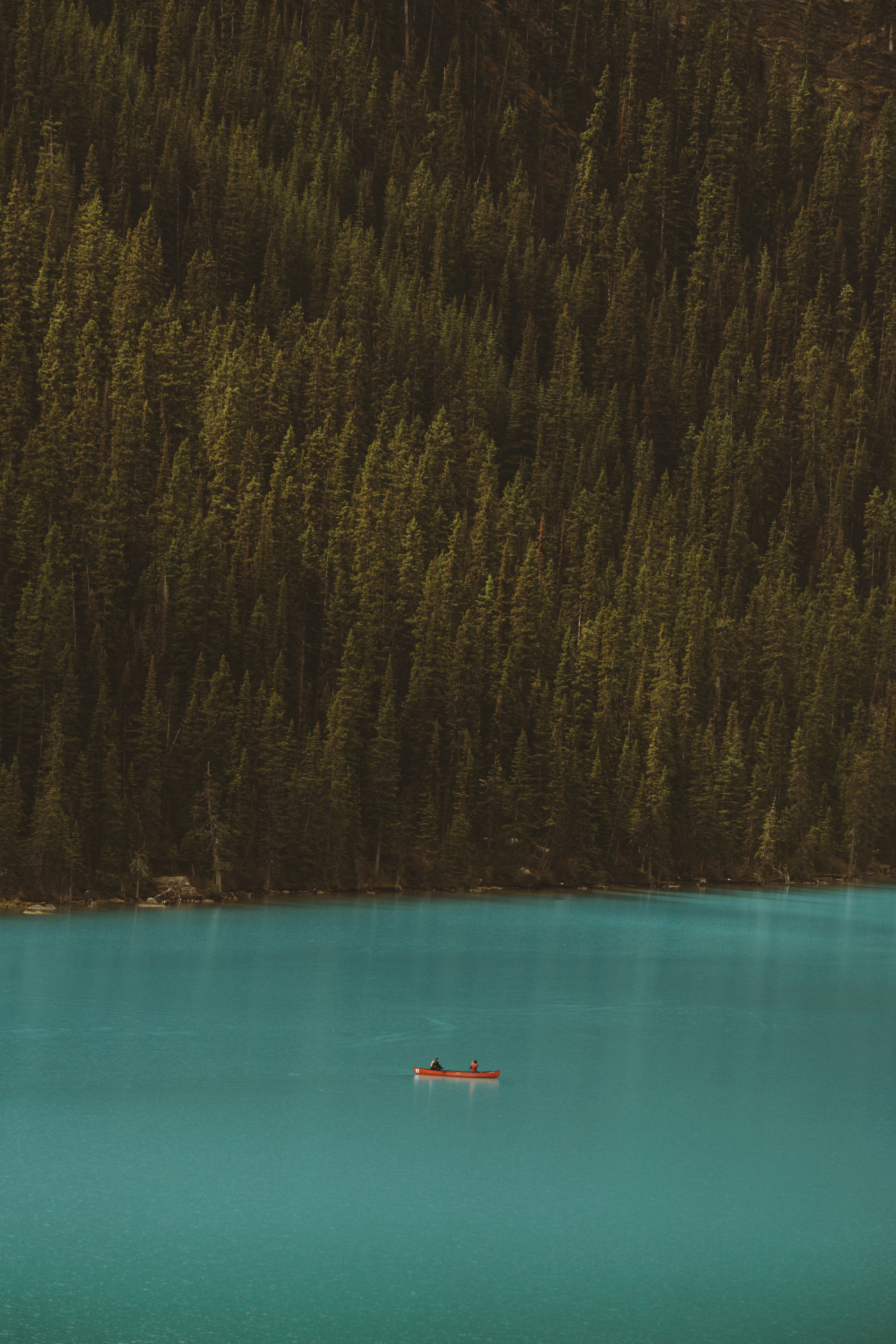 Download mobile wallpaper Boat, Slope, Shore, Bank, Nature, Lake, Forest for free.