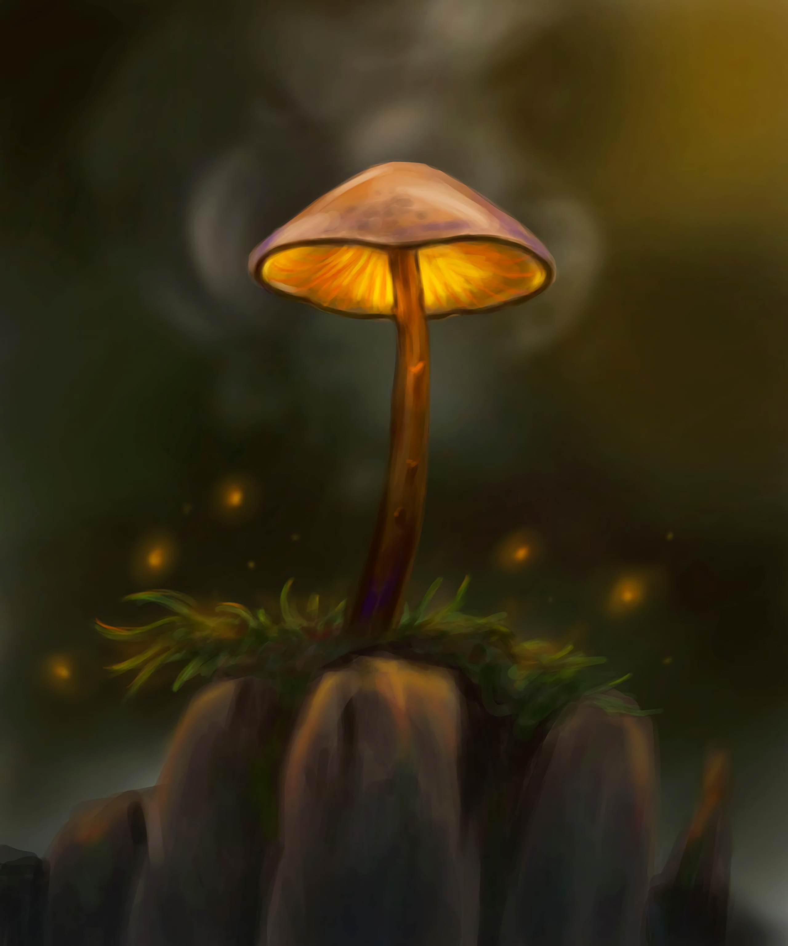 mushroom, particles, art, grass