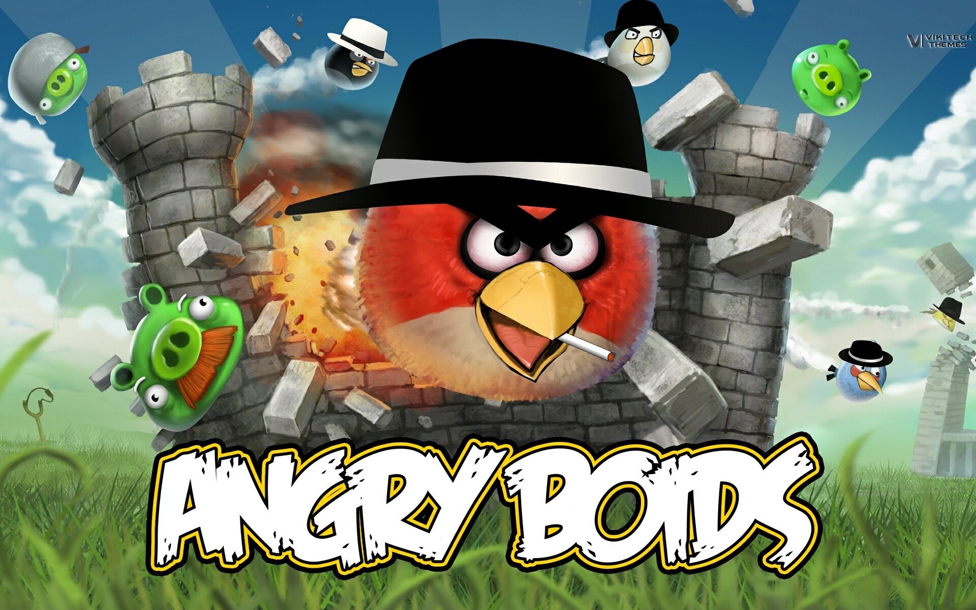 Angry Birds  HD desktop images