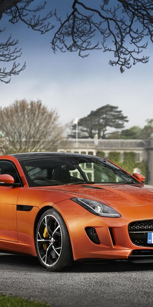 Jaguar f Type 2007