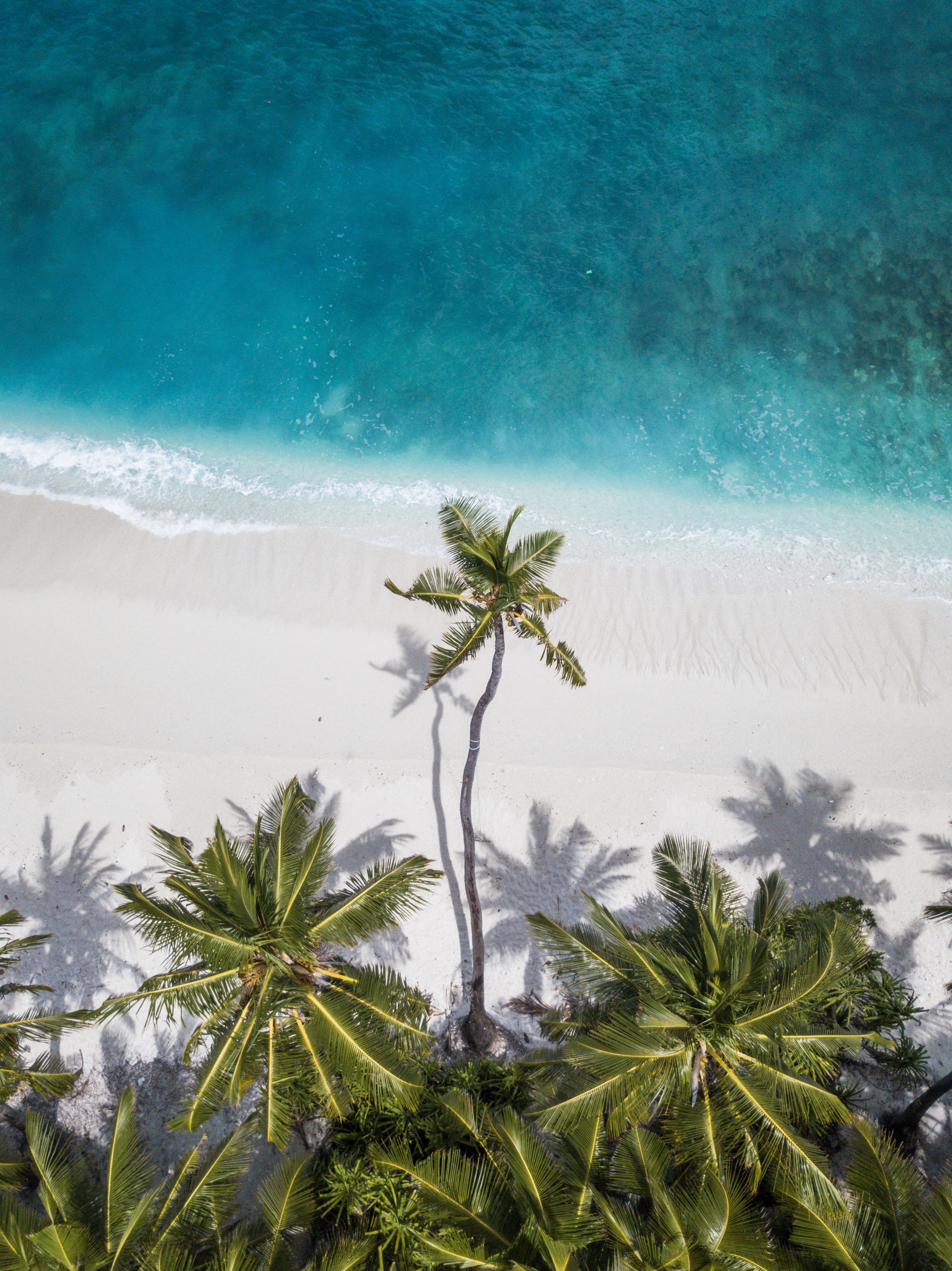 86548 télécharger le fond d'écran sable, nature, palms, vue d'en haut, vue d’en haut, rive, banque, océan, maldives - économiseurs d'écran et images gratuitement