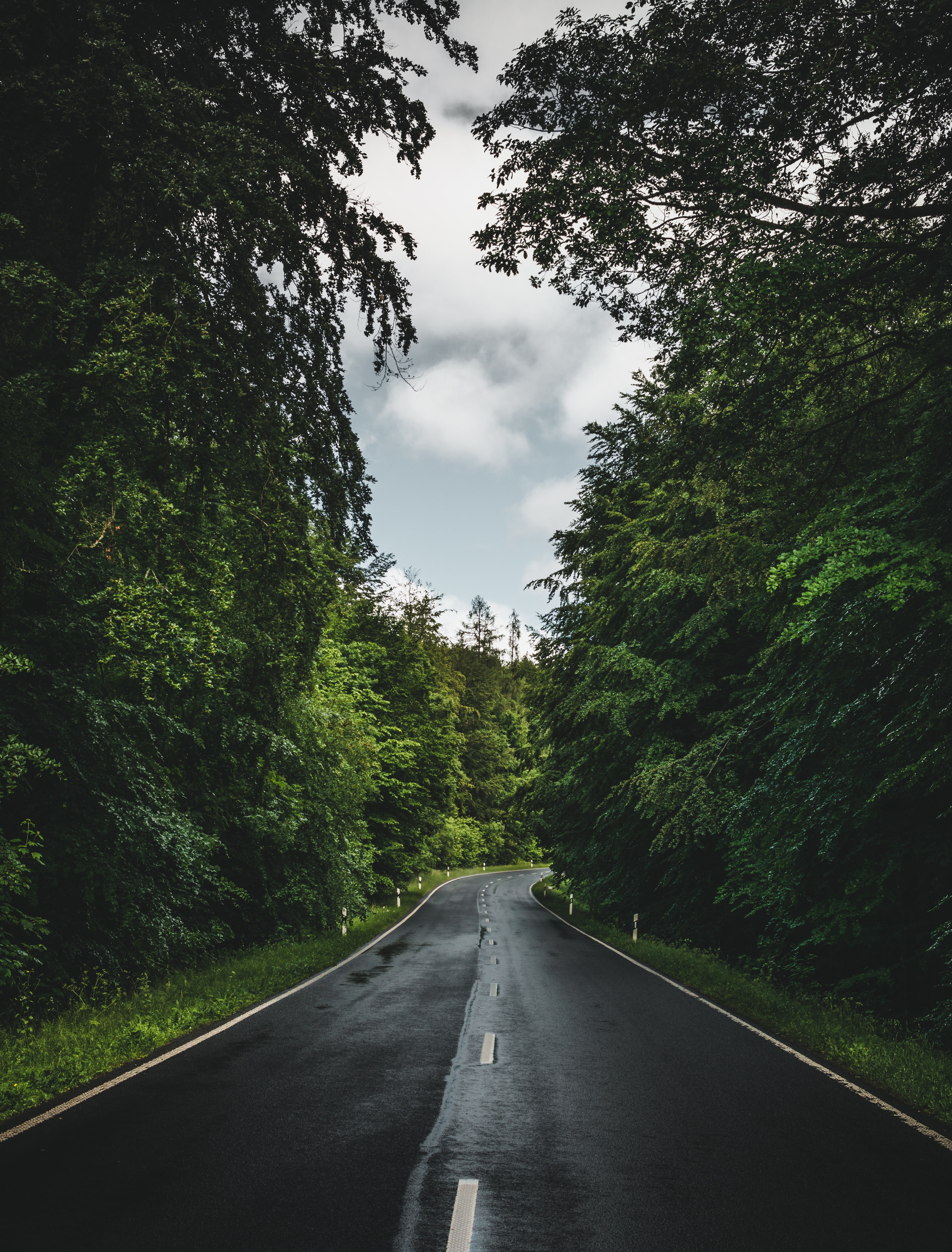 road, nature, forest, trees, sky, markup 5K