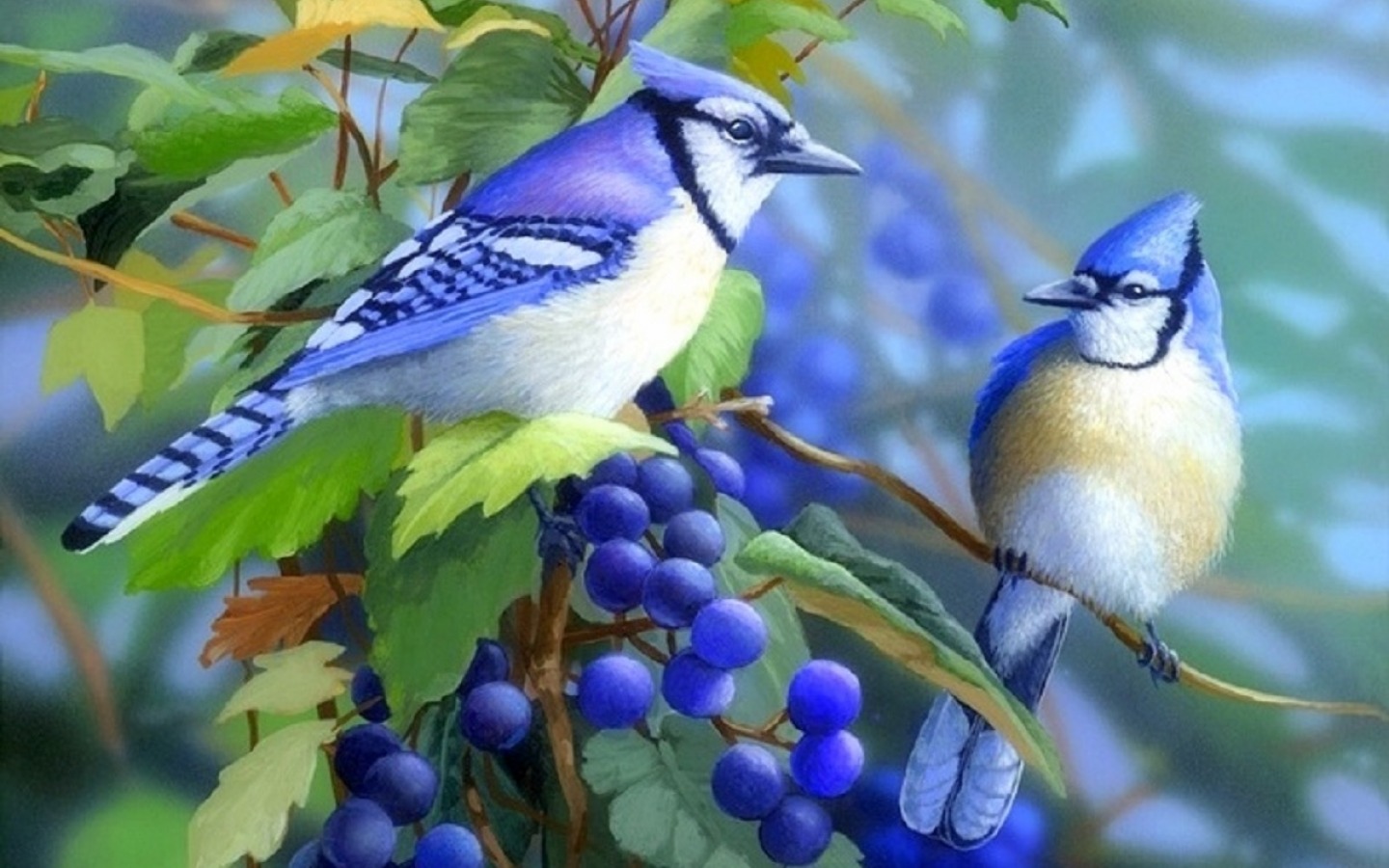 animal, blue jay, bird, branch, grapes, painting, vine, birds