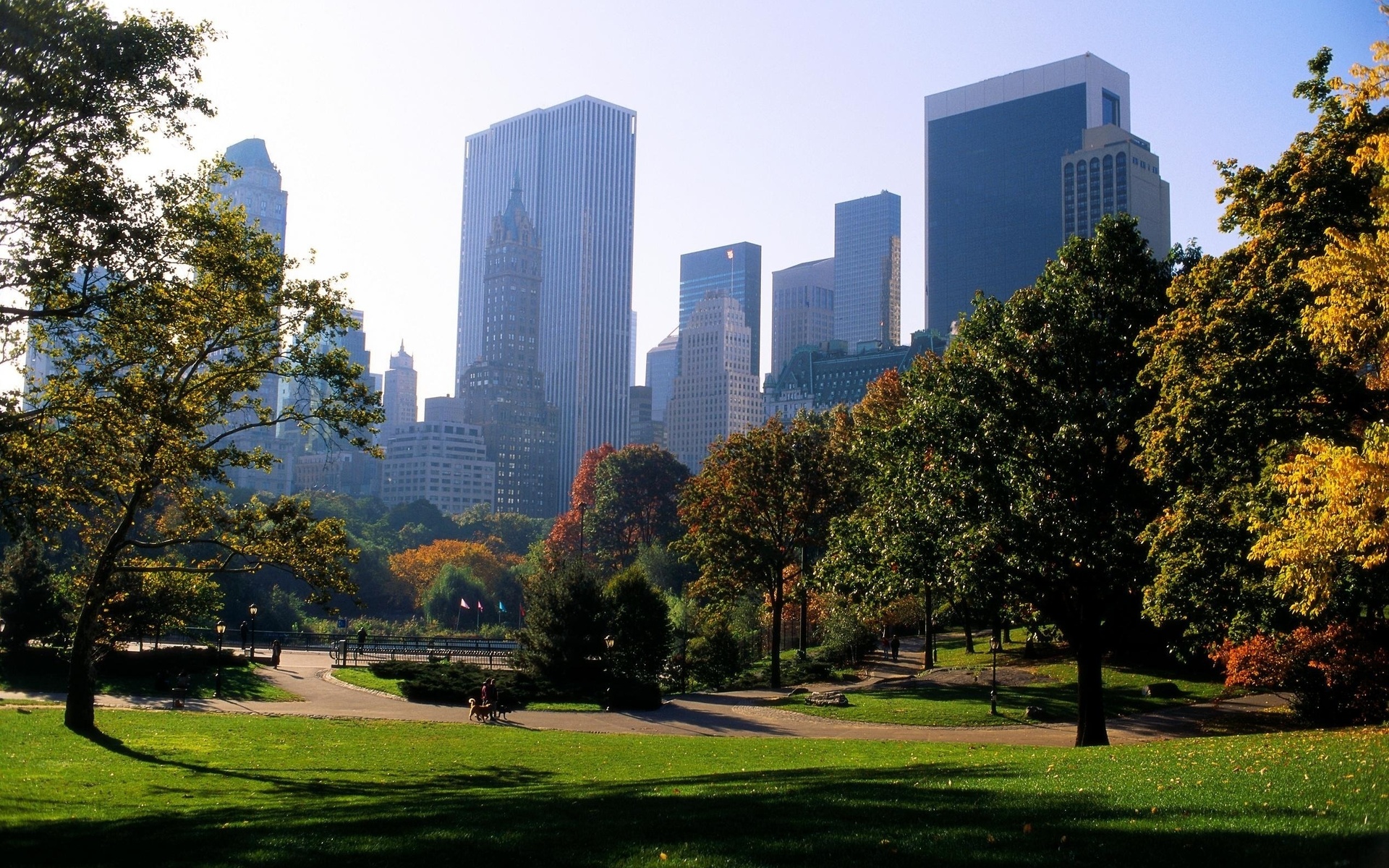 central park, man made, city, fall, manhattan, nature, new york, season, cities 1080p