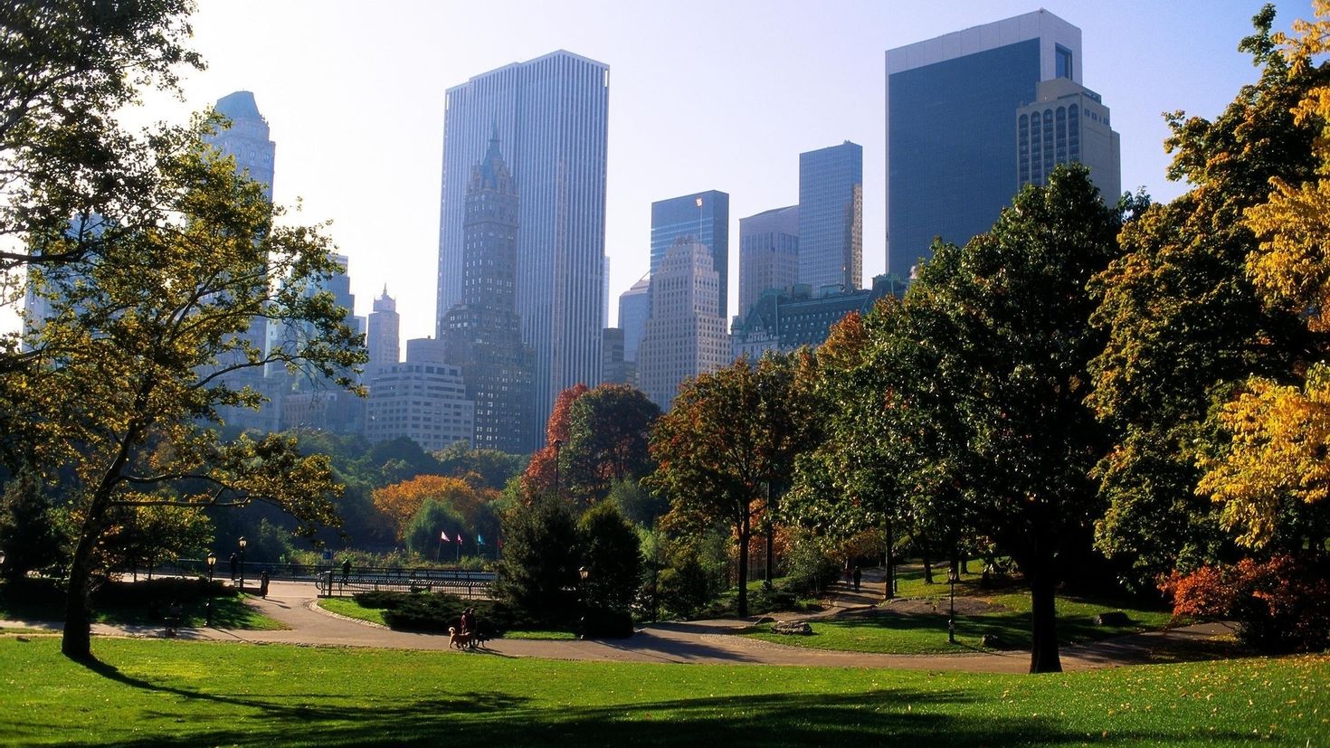 City naturals. Централ парк Нью-Йорк деревья. Центральный парк, Нью-Йорк, США. Центральный парк (г. Нью-Йорк, Манхэттен). Центральный парк ньйорк.