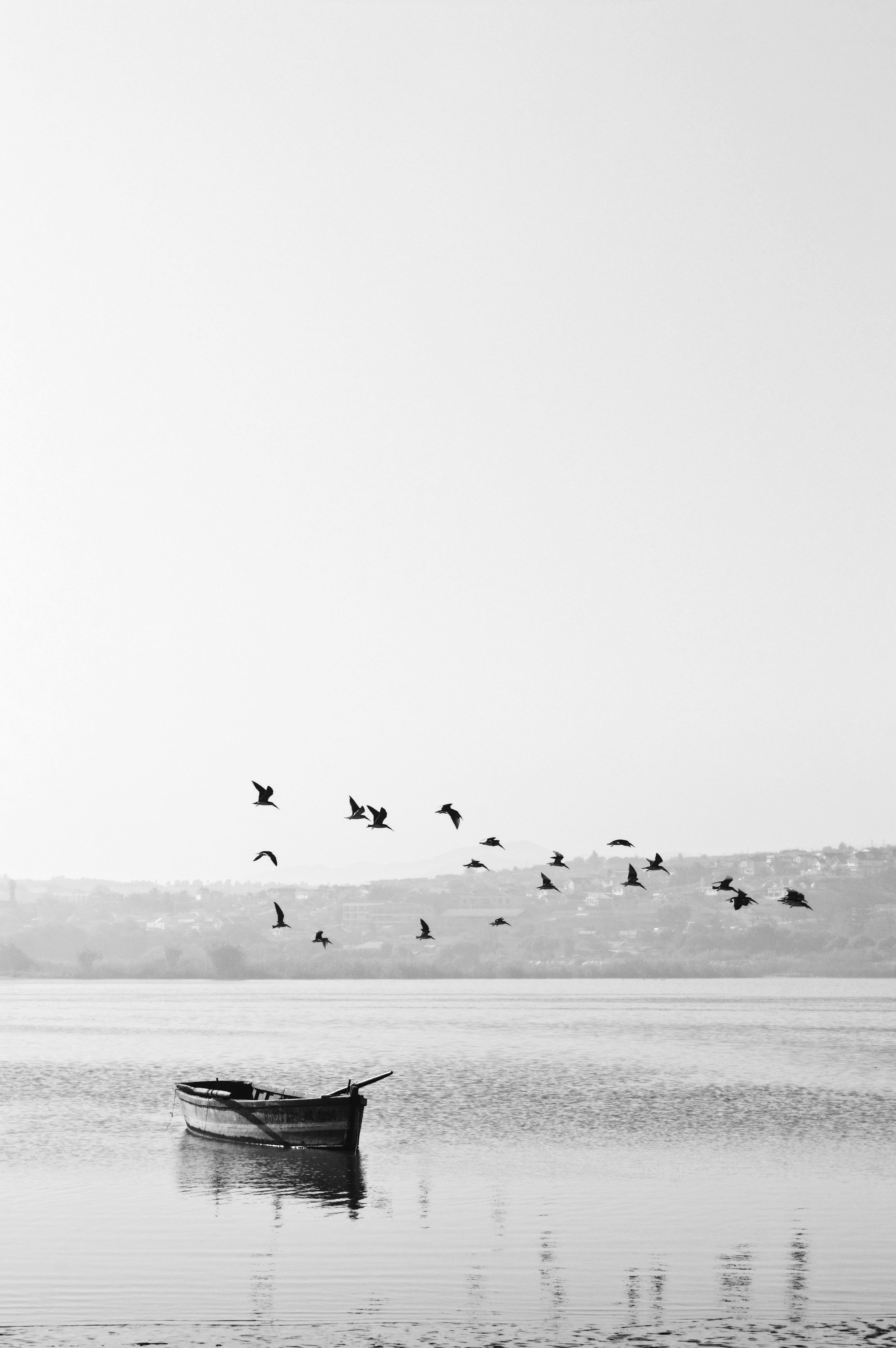 Download mobile wallpaper Chb, Horizon, Bw, Nature, Boat, Birds for free.