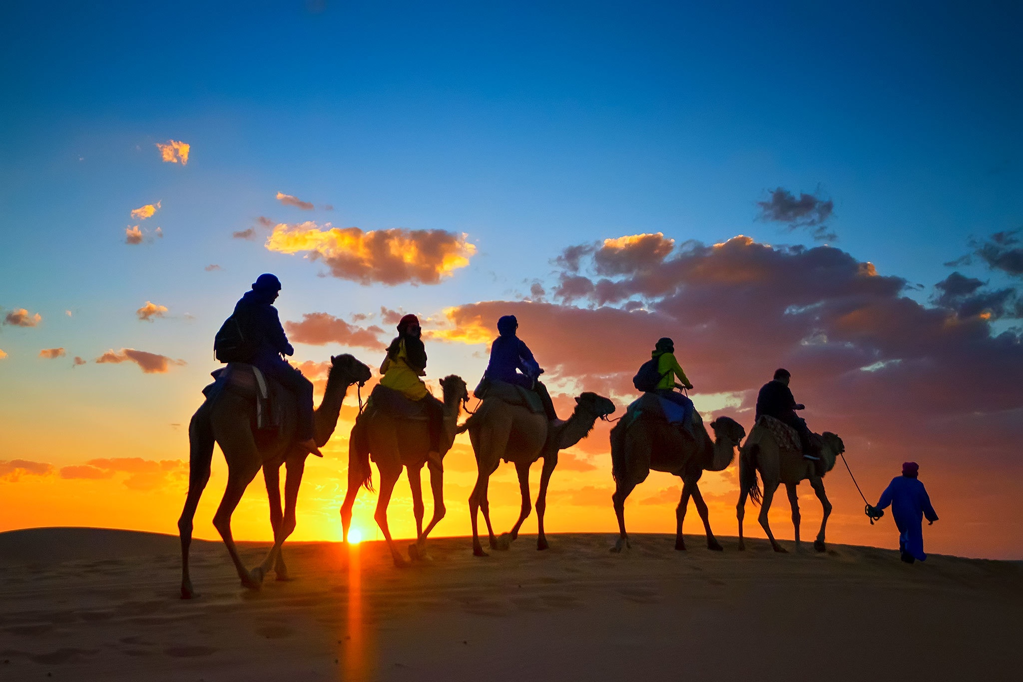 Караван из верблюдов в пустыне