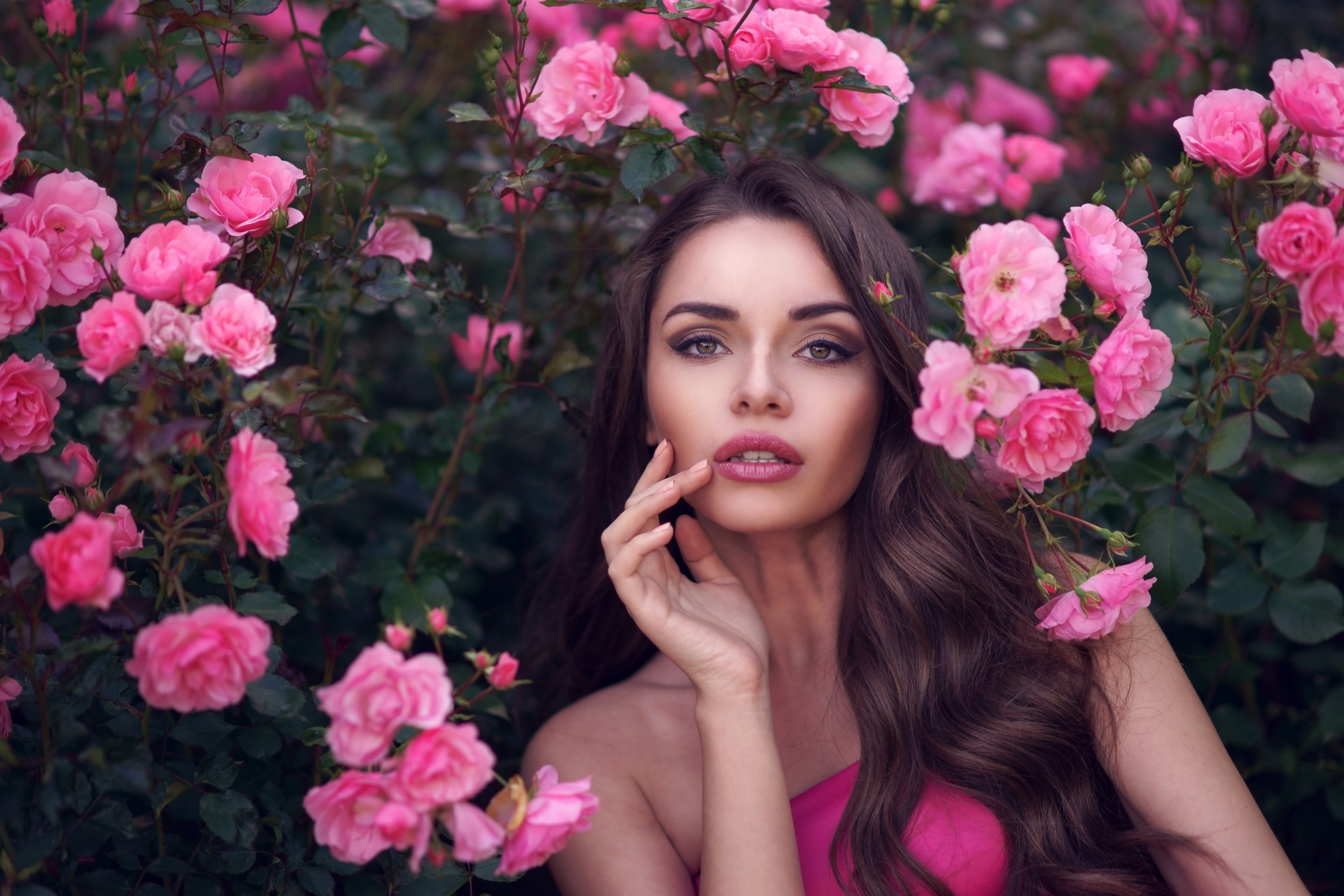 women, model, brunette, face, flower, lipstick, pink flower, rose bush, rose