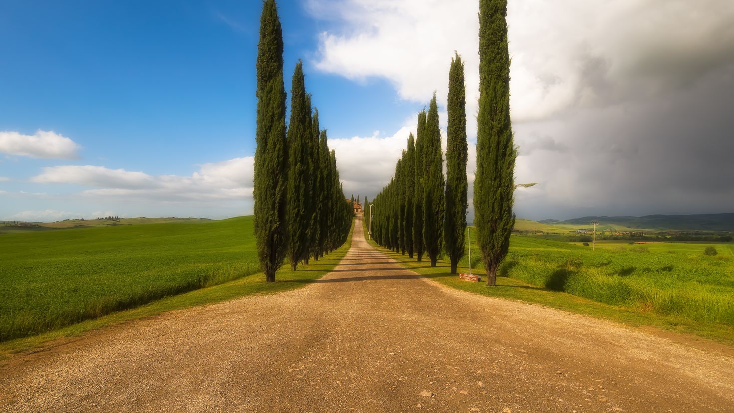 Тоскана Италия деревья